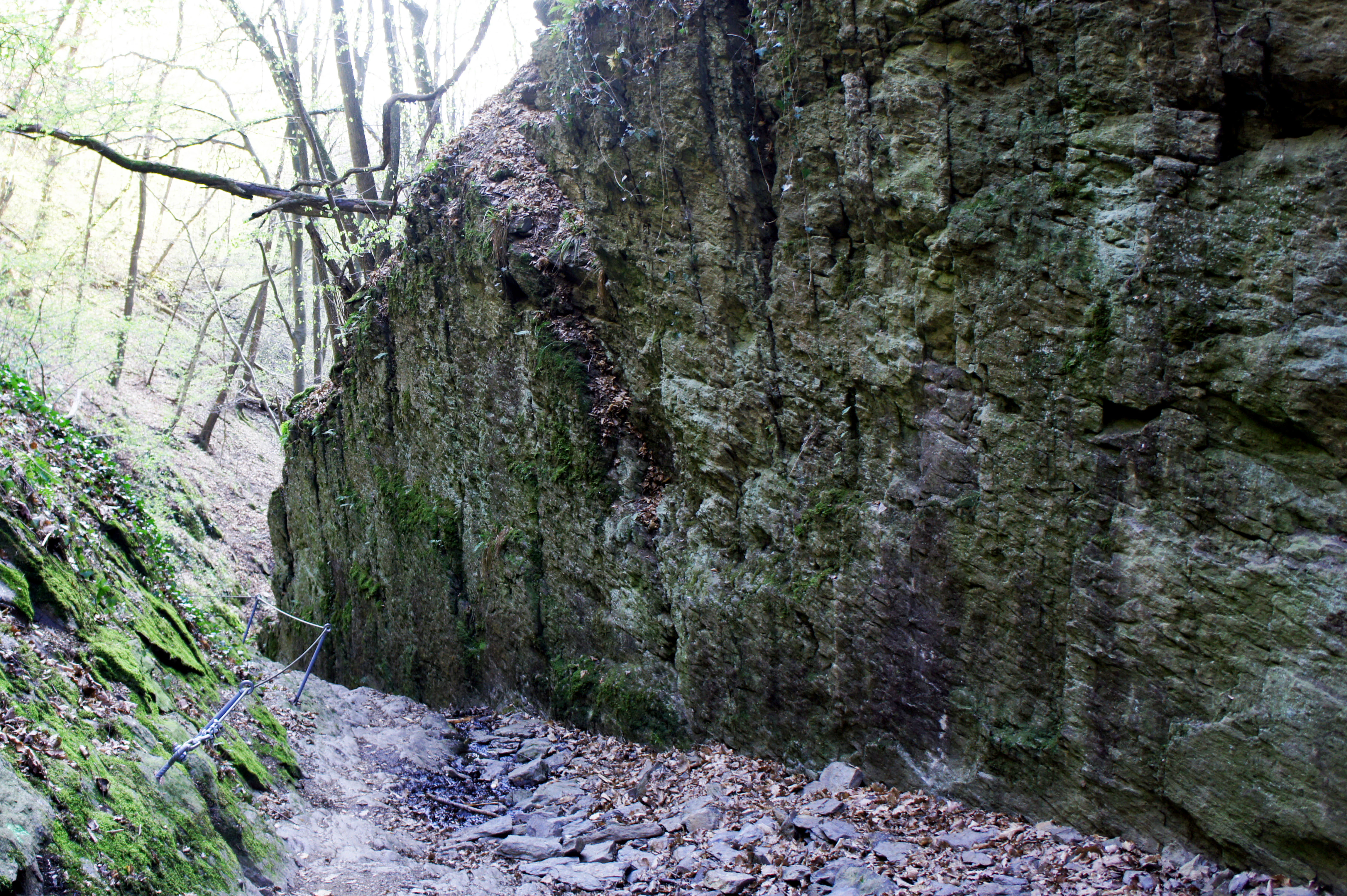 A narrow dirt and rock hiking path follows the base of a towering, moss-covered vertical rock wall in a gorge setting, with trees visible in the background.