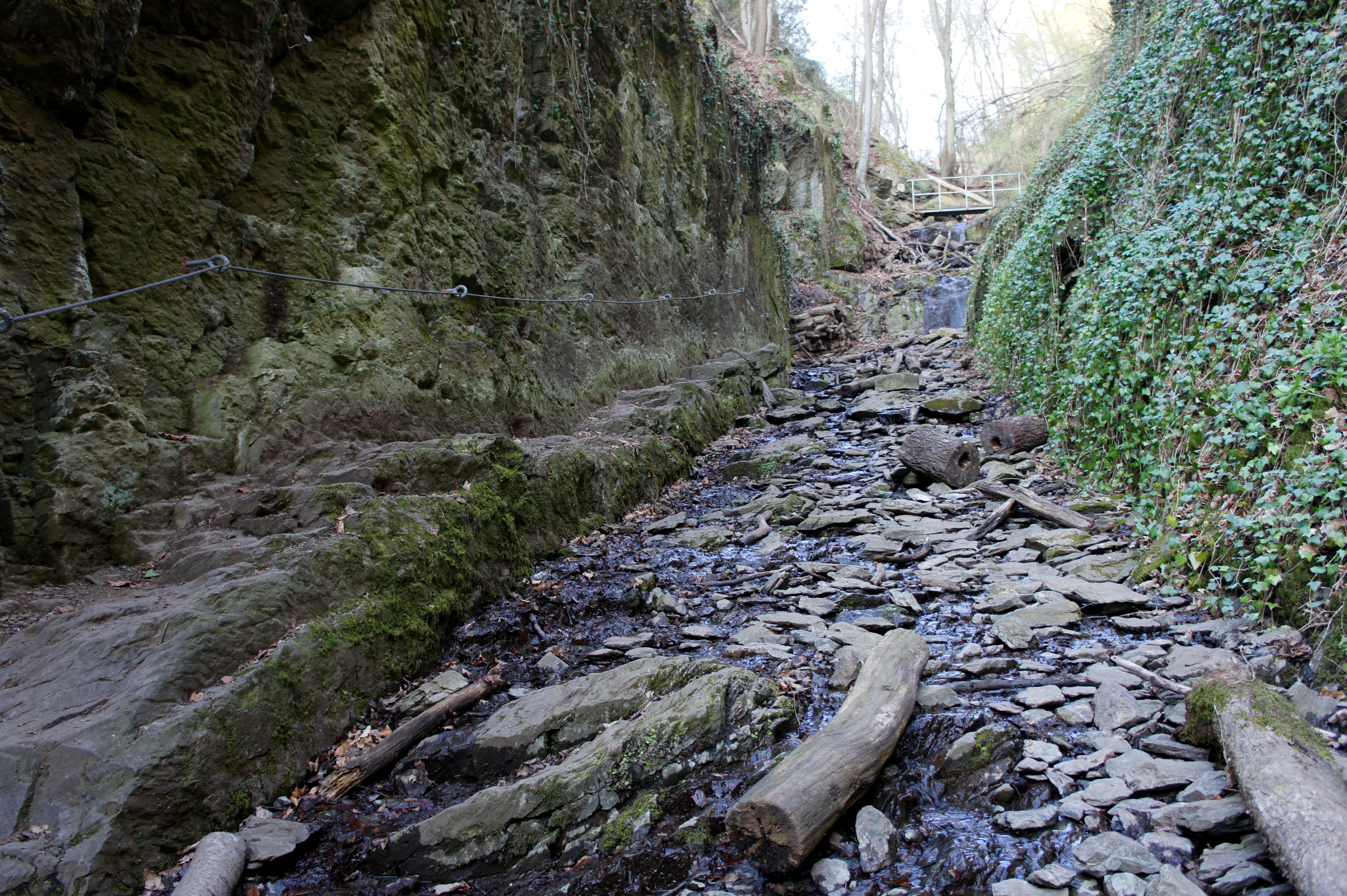 A narrow gorge featuring high, moss-covered rock walls and a rocky stream bed with logs and vegetation, reflecting a spring landscape.