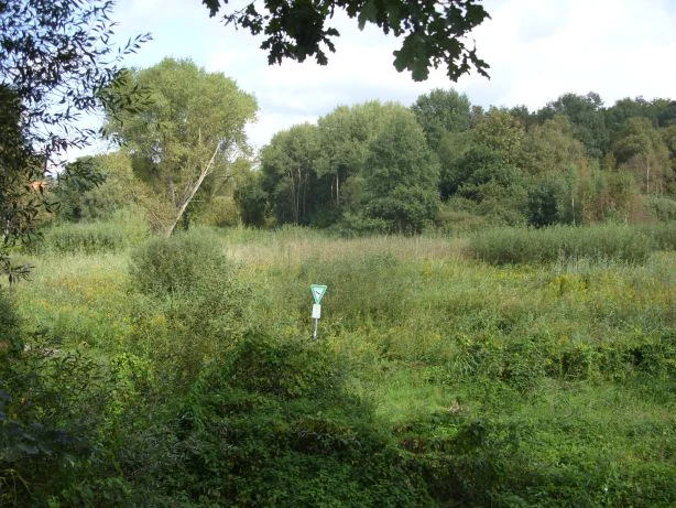 A green, grassy marshy area with dense trees in the background, featuring a small nature reserve sign in the center.
