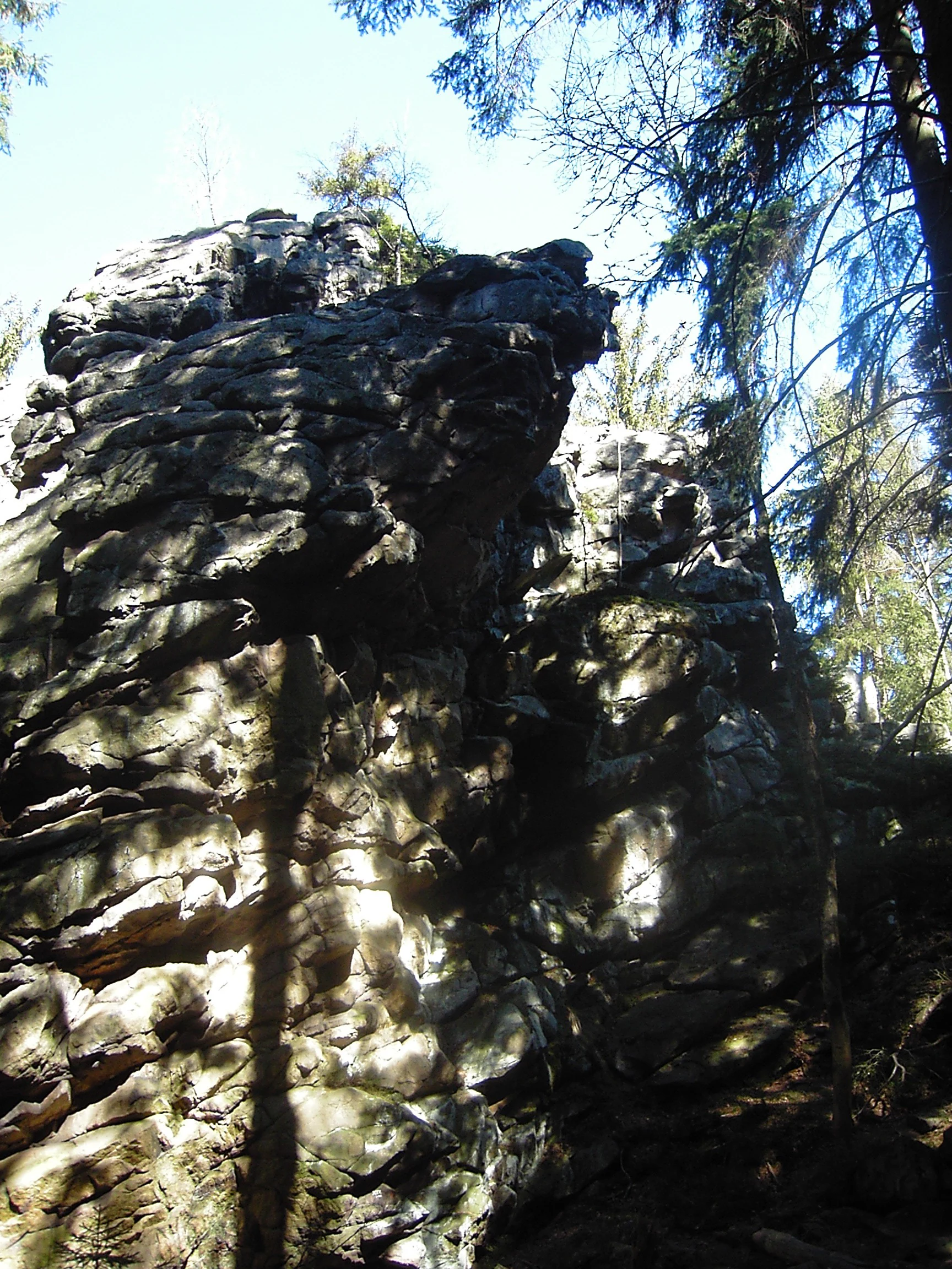 Large, dark, weathered rock outcrops surrounded by tall evergreen trees in a forested area.