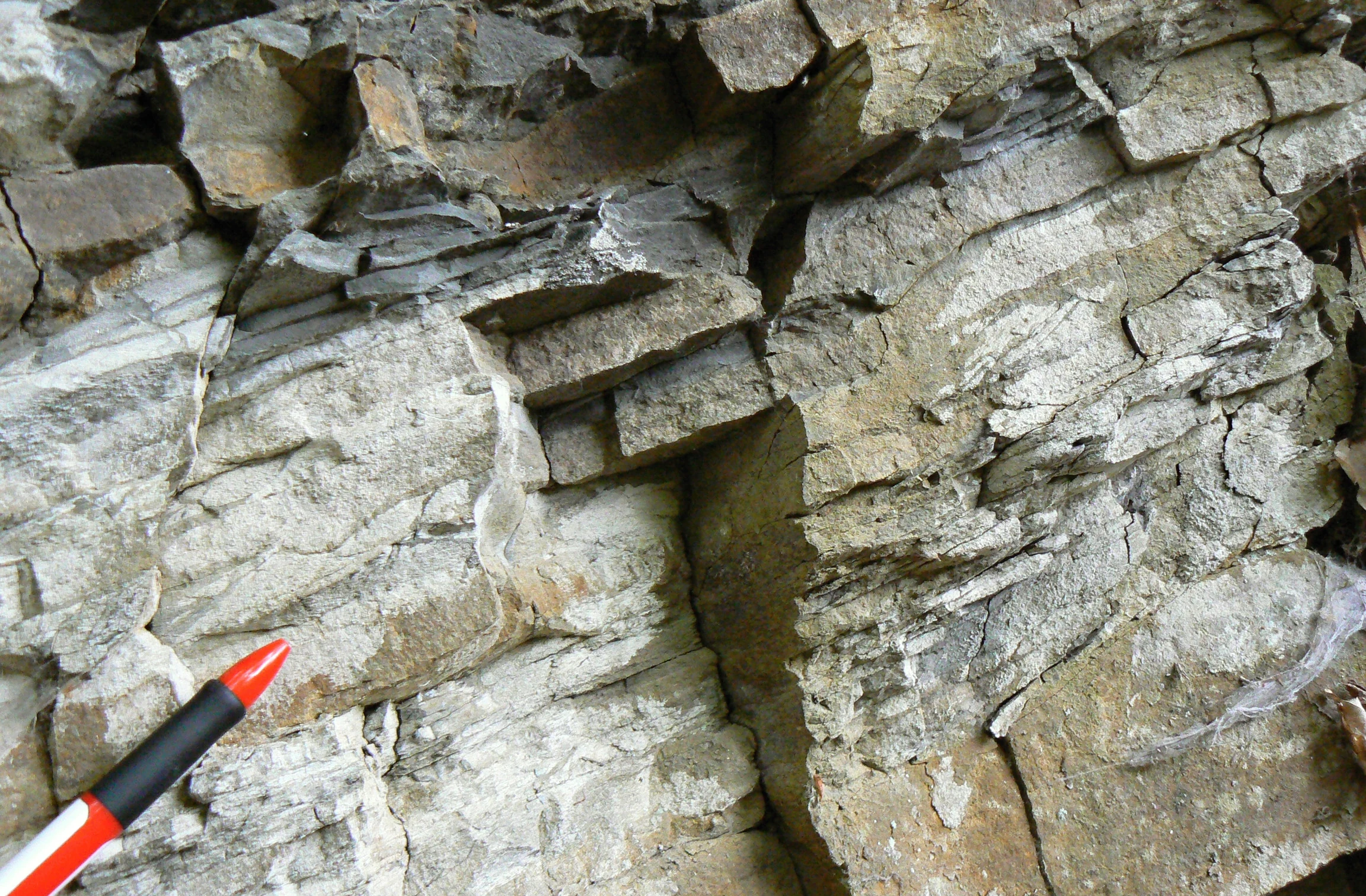 A close up view of layered grey and tan sedimentary rock with a red pen in the foreground for scale.
