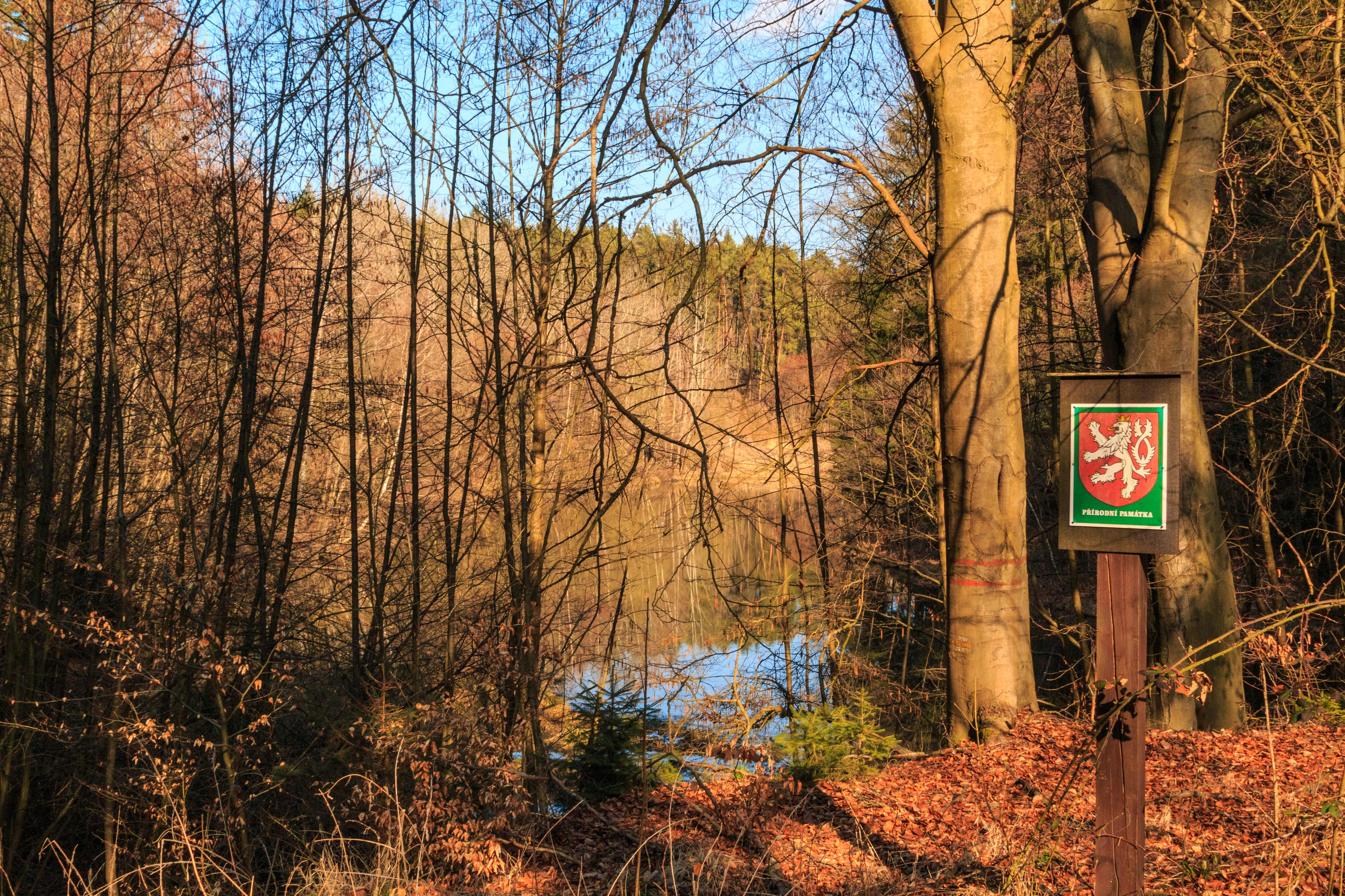 A wooden post holds a small sign featuring the Czech Republic's double-tailed lion emblem, located in a wooded area with a pond visible in the background.