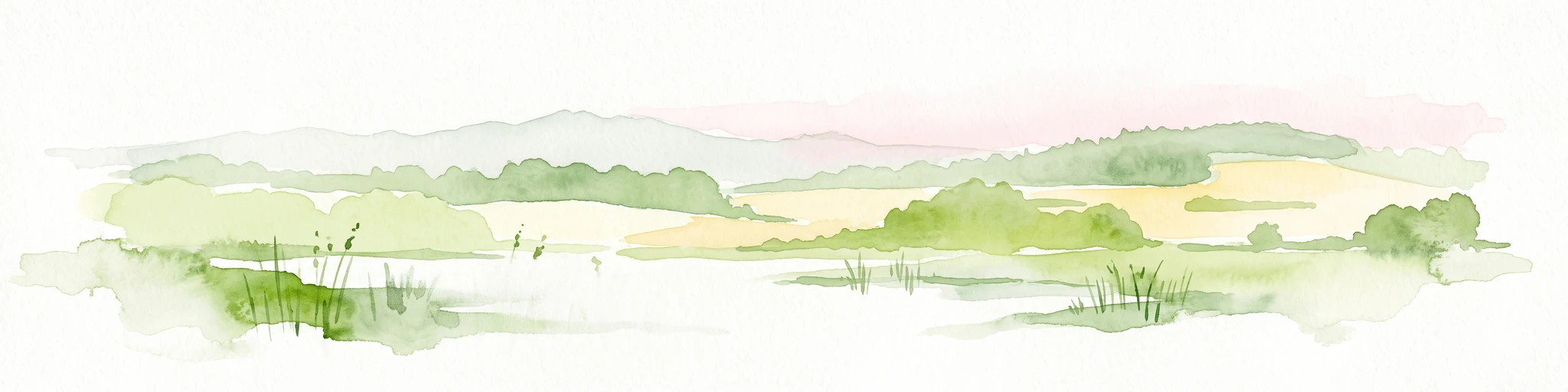 Acuarela de un paisaje de humedal tranquilo con un estanque, hierbas altas, colinas onduladas y una paleta de colores suaves y apagados.