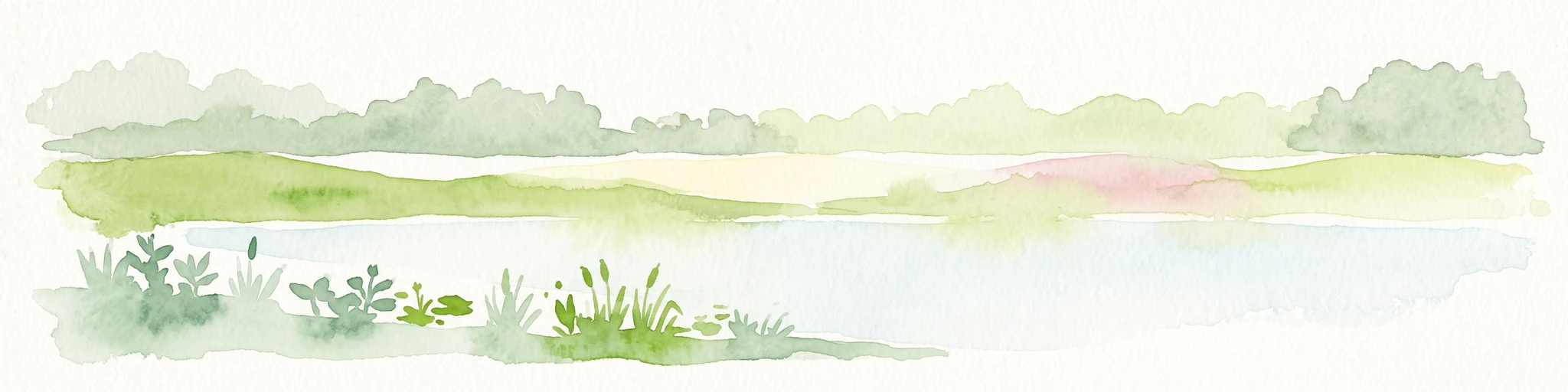 A soft watercolor illustration of a pond landscape with grassy banks, reeds, and soft green vegetation in the background.