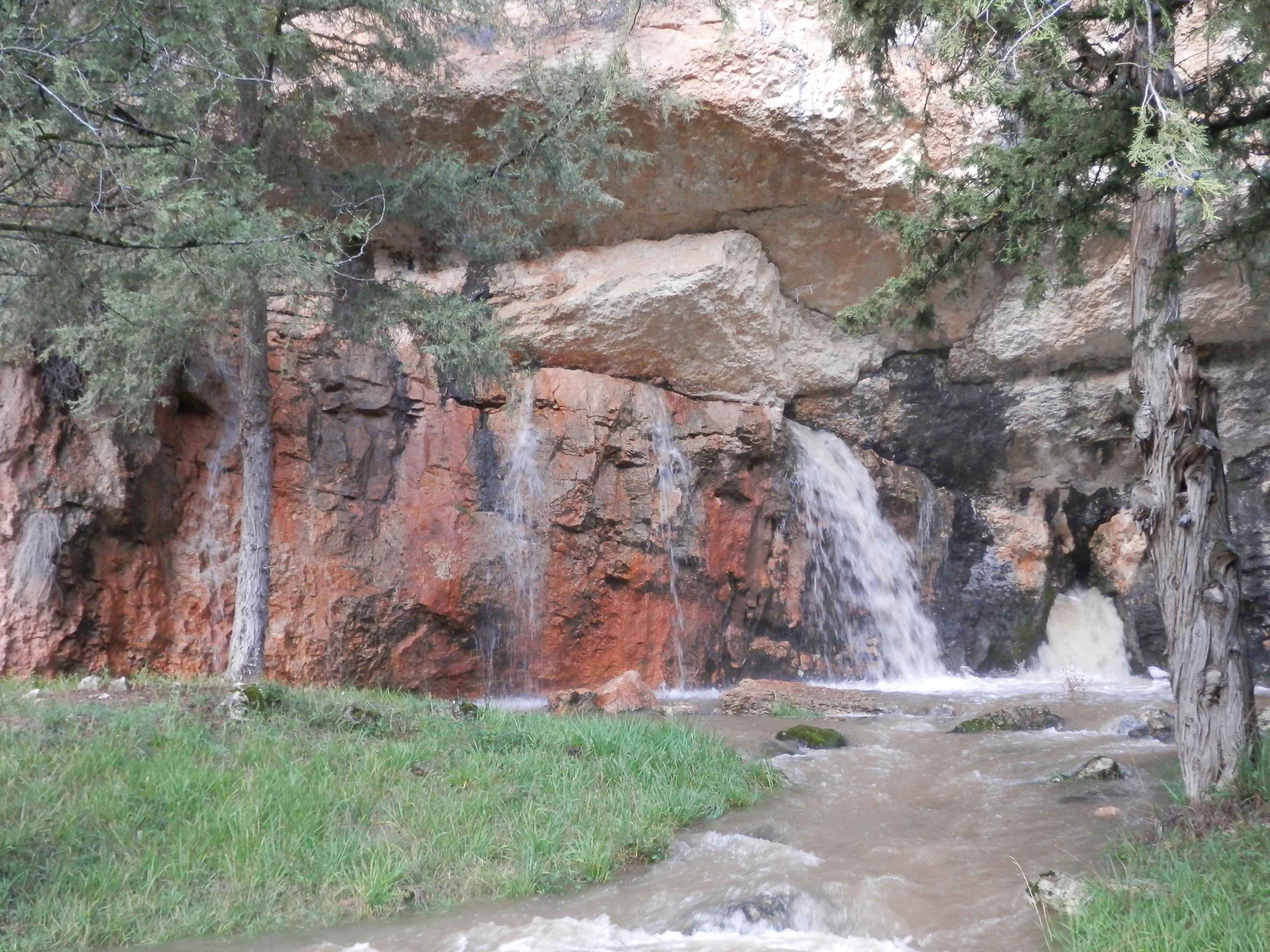 A small, tiered waterfall cascades over a reddish limestone cliff into a stream, framed by juniper trees in the foreground.