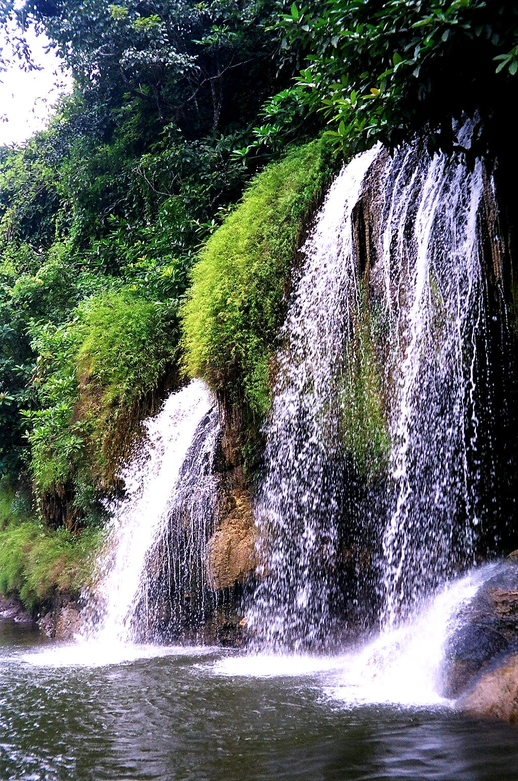 A waterfall with multiple streams cascading over moss-covered rocks into a pool, surrounded by lush green vegetation.