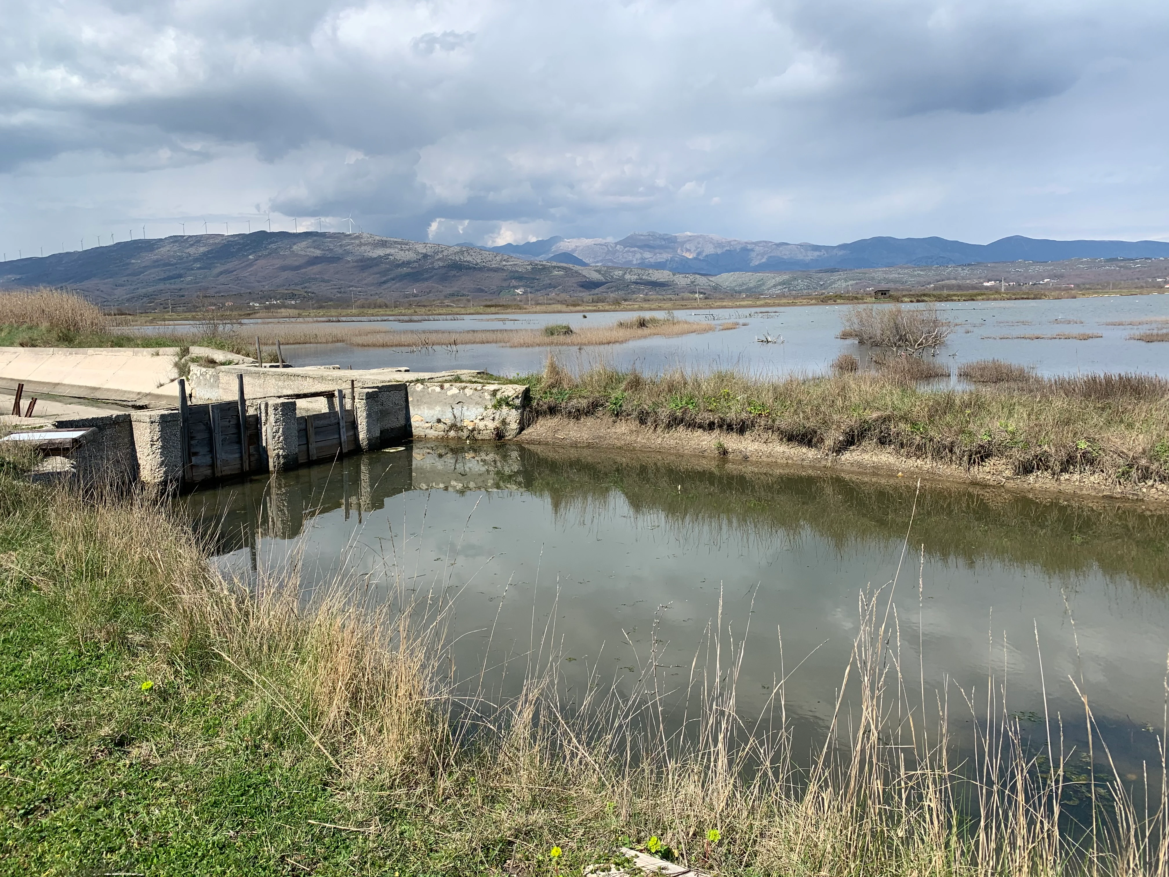 A calm, narrow water channel leading to a concrete structure in the foreground, with the wide, marshy expanse of the Saline Ulcinj salt pans and distant mountains under a cloudy sky in the background.
