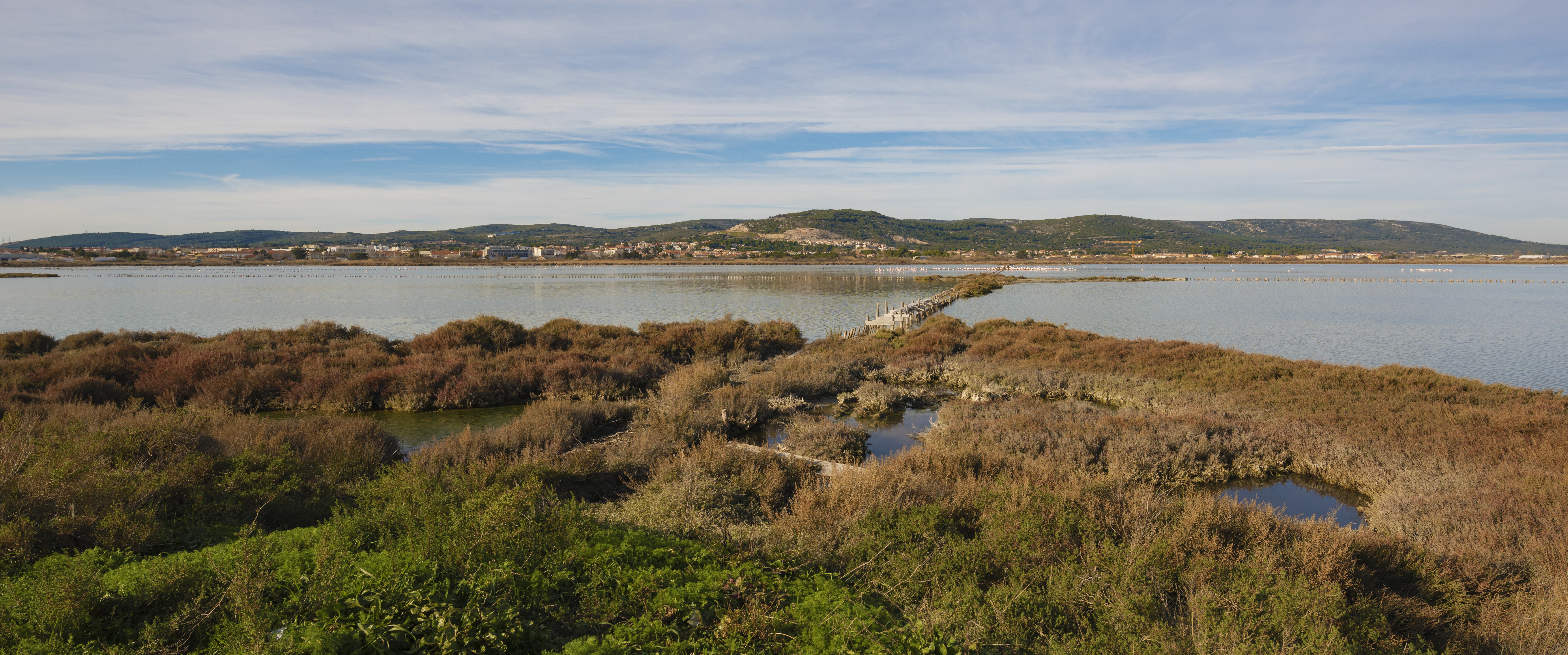 A wide, elevated view of the Salins de Frontignan wetlands featuring brown, marshy vegetation in the foreground and a large, calm salt water basin extending toward a low mountain range on the horizon under a pale sky.