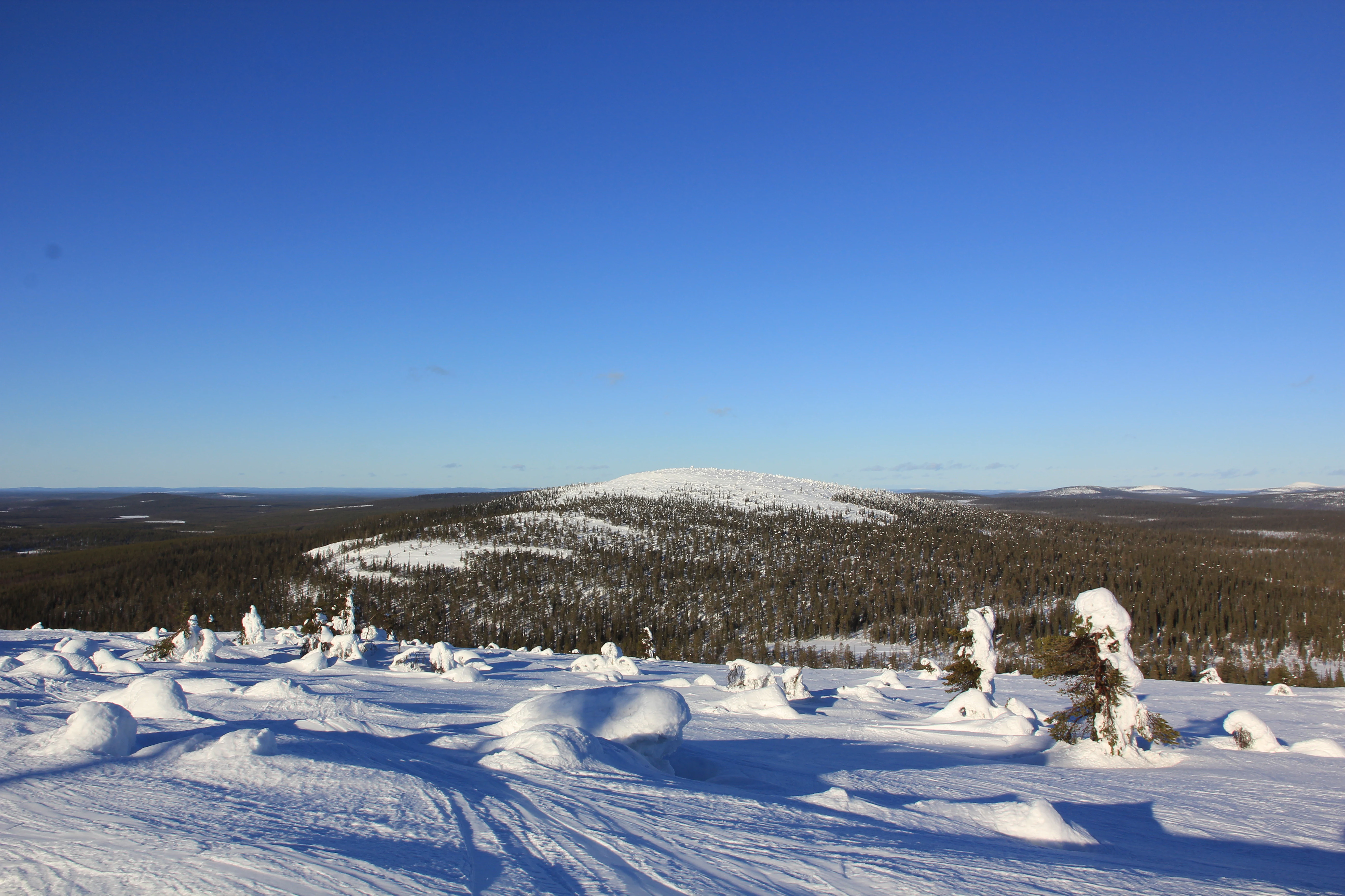 Snow-covered mountain peak under clear blue sky with scattered snow-laden trees and forested valley in background