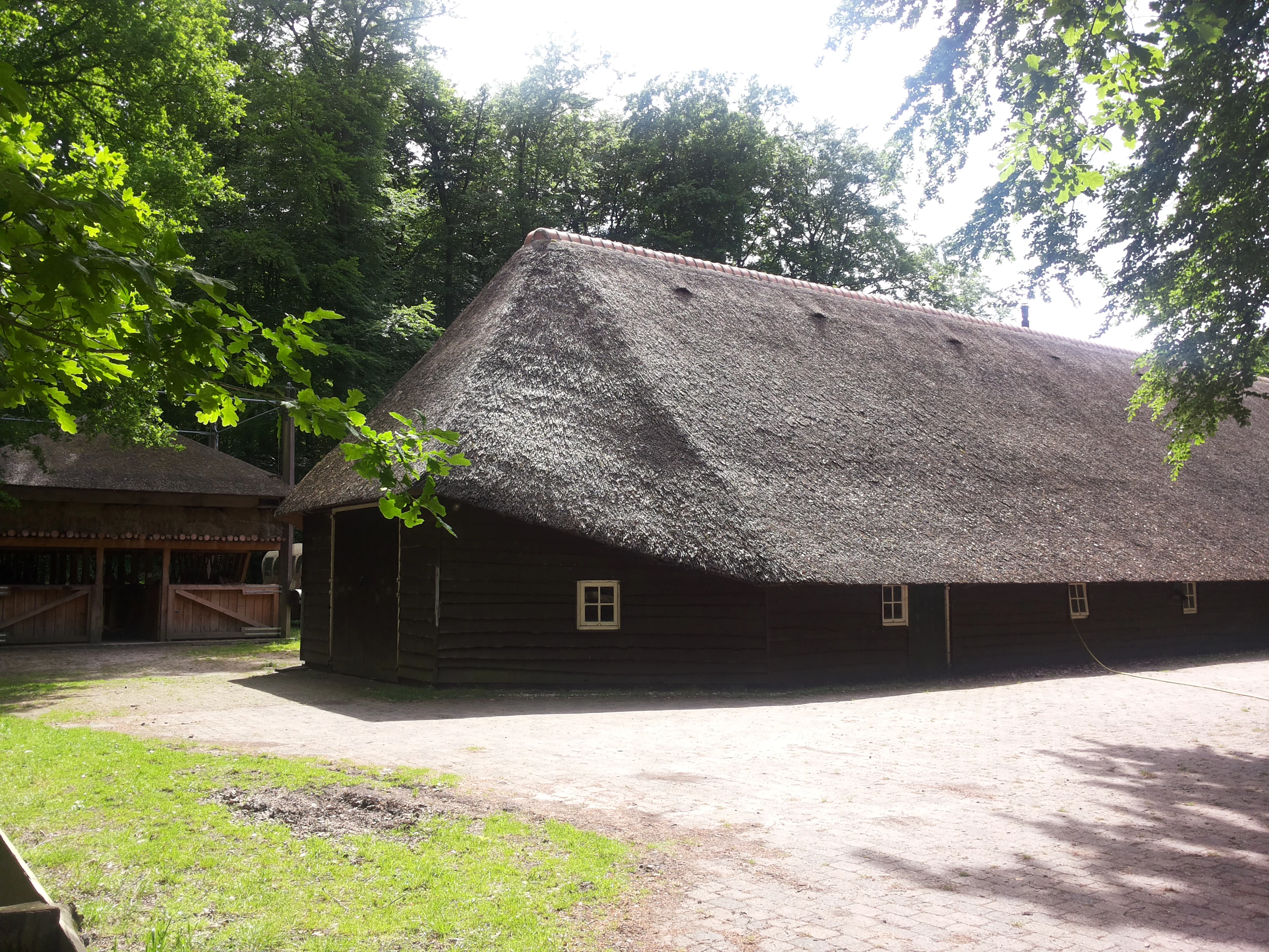 Thatched-roof wooden building surrounded by trees and grass in a national park setting