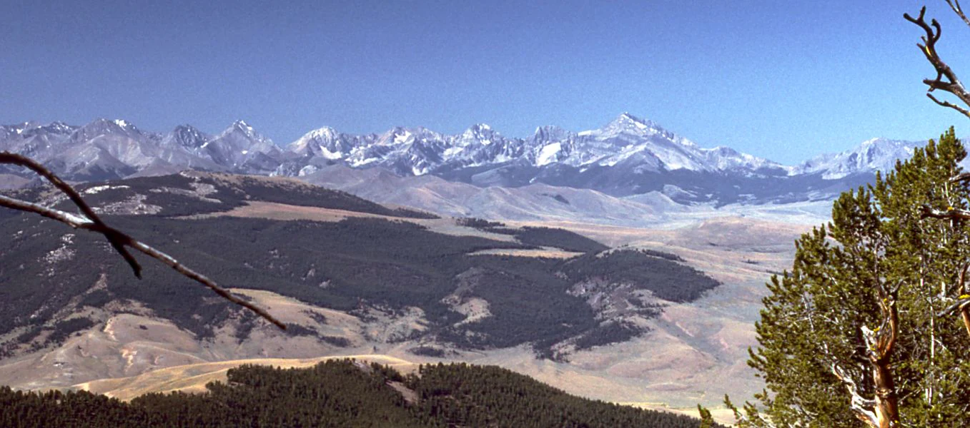 Wide mountain landscape showing a snow-capped mountain range in the distance, with dark evergreen forest and arid high-desert foothills in the foreground and midground.