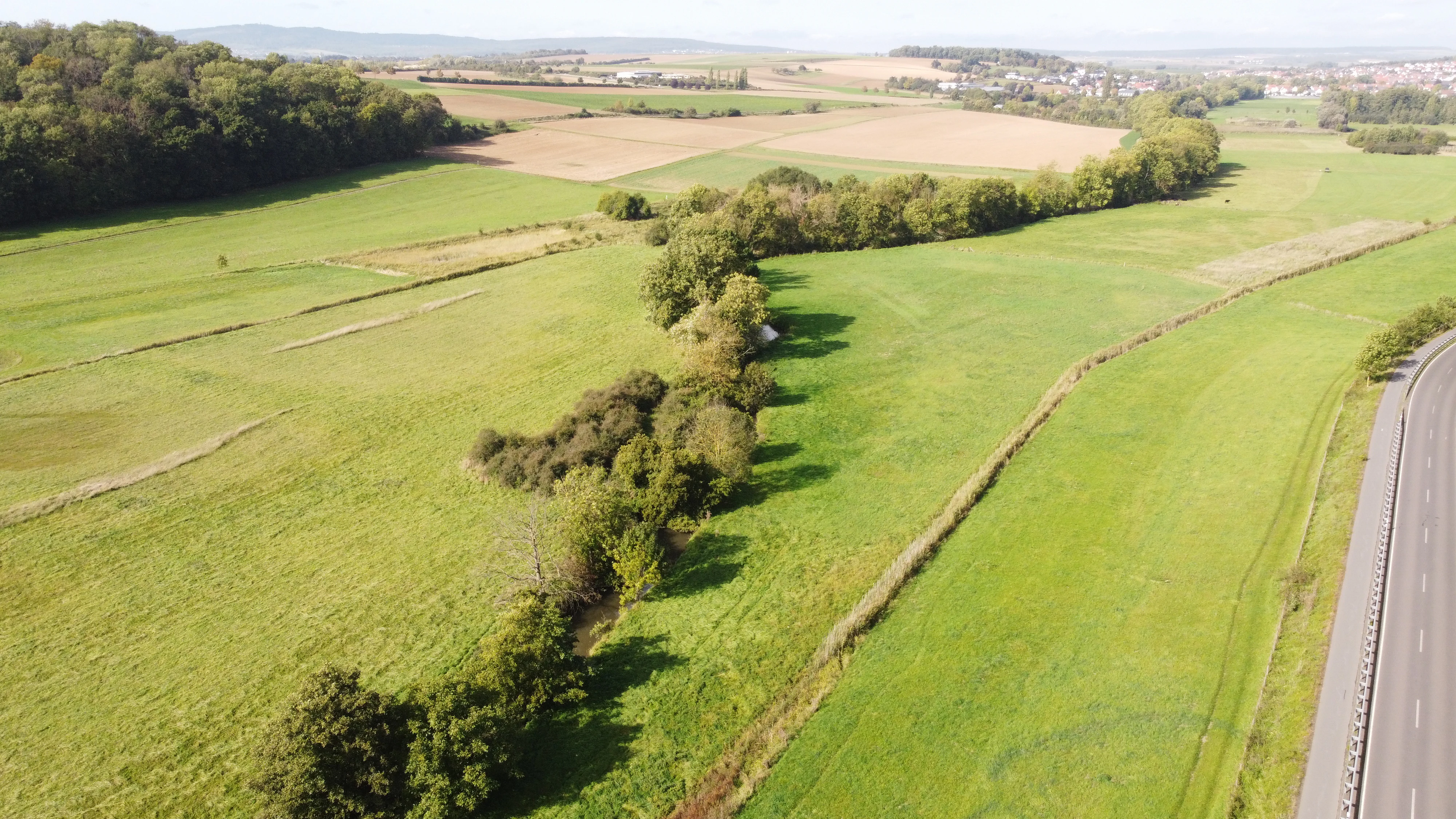 An aerial photograph showing a wide expanse of green meadows and fields, with a line of trees running through the center and a highway visible on the right edge.