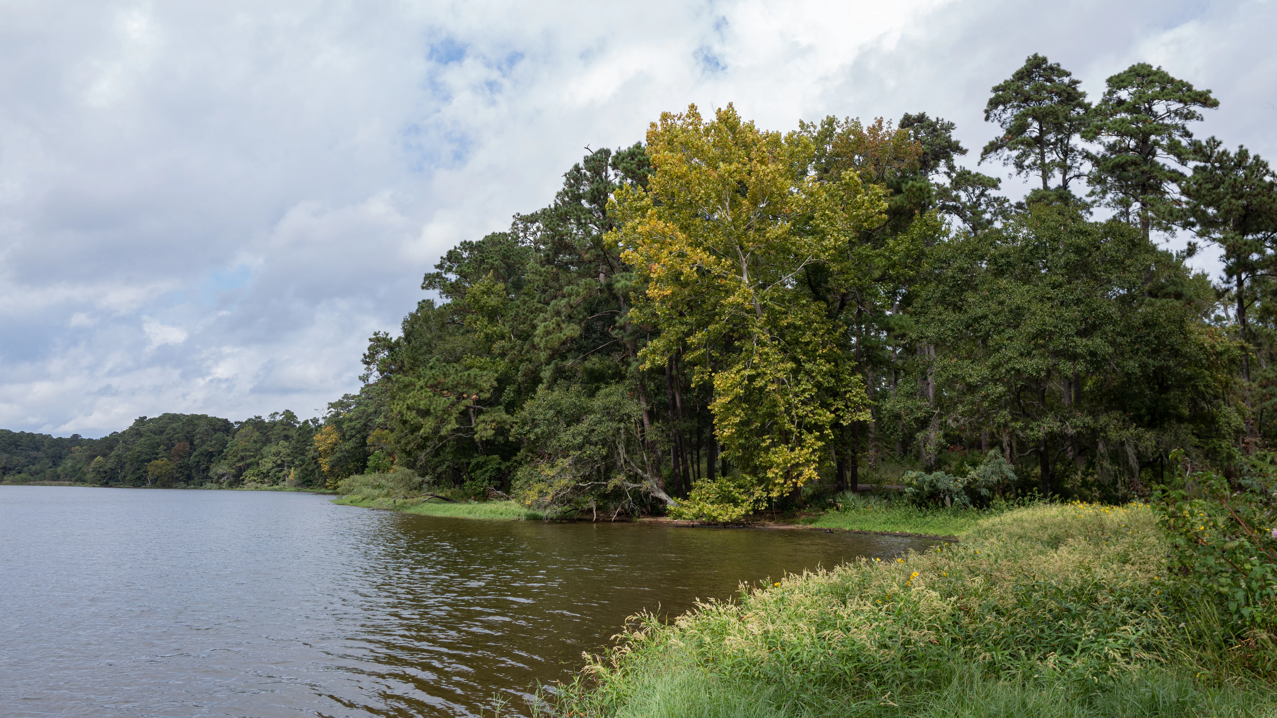 A landscape view of a calm lake bordered by a dense forest with a mix of green and early autumn foliage under a cloudy sky.