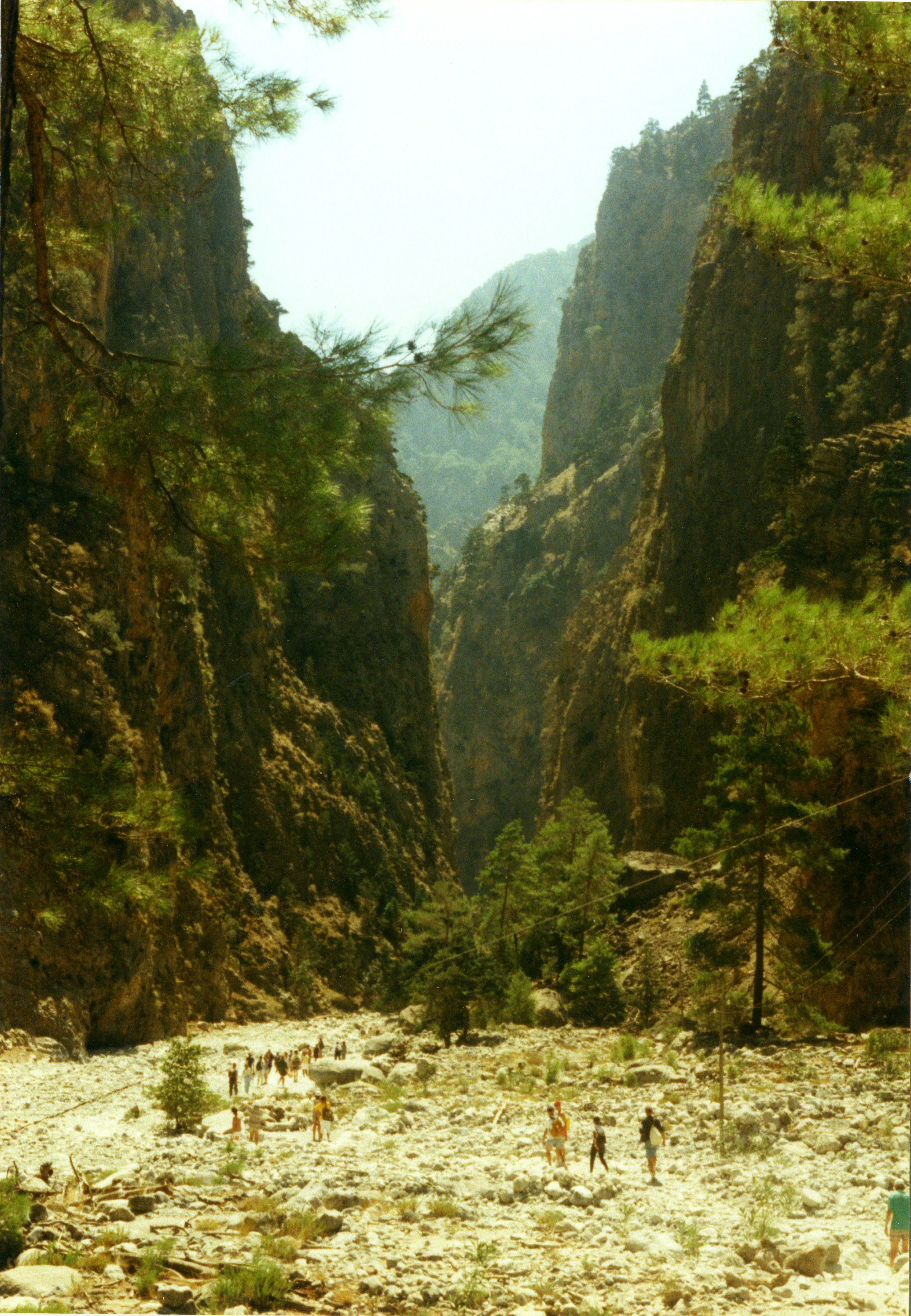 A group of hikers walking along a dry, rocky path through a narrow, deep gorge with steep, towering canyon walls and pine trees.