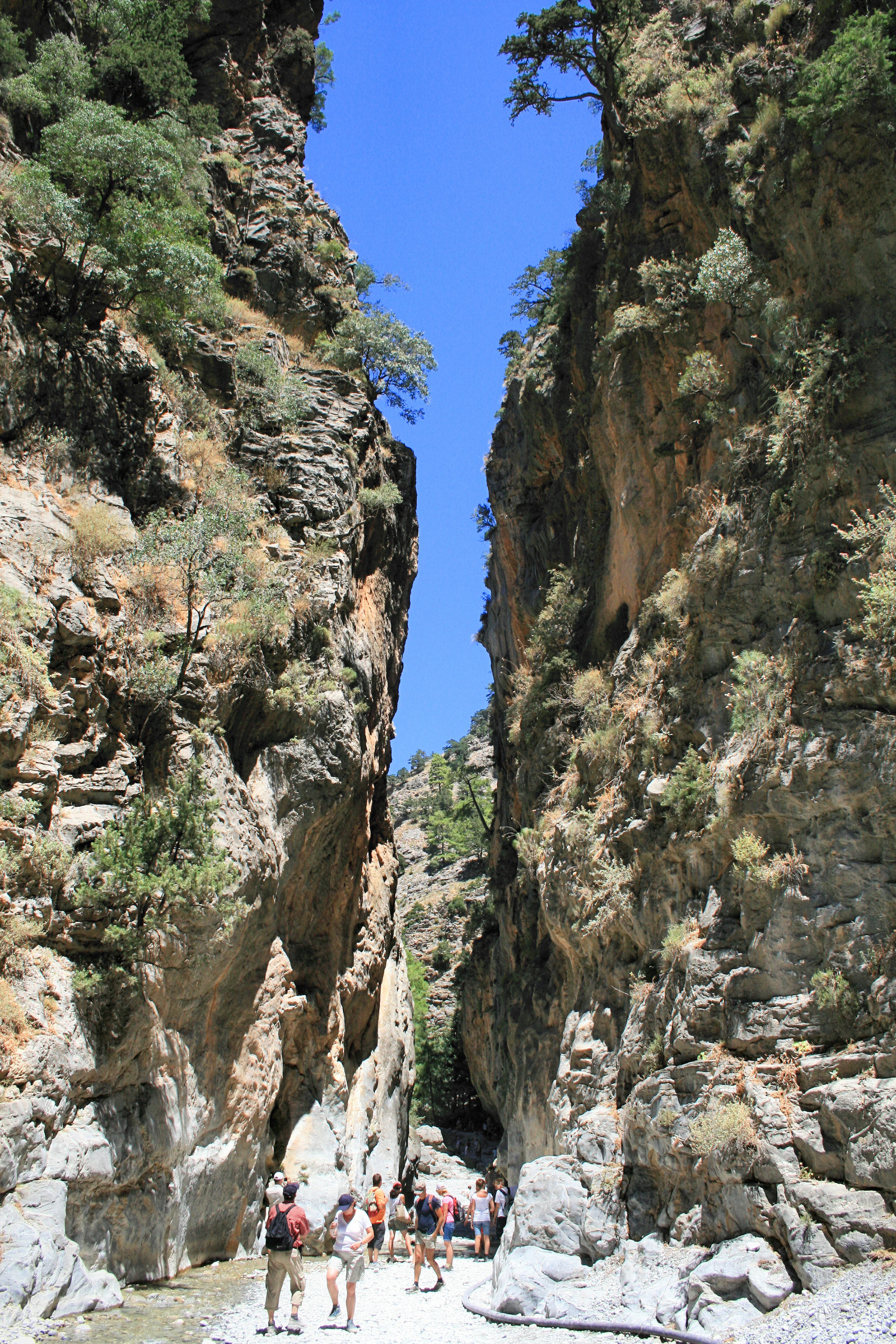 A group of hikers walking along a narrow, rocky path through a deep, sheer-walled gorge with sparse trees clinging to the cliff sides under a bright blue sky.