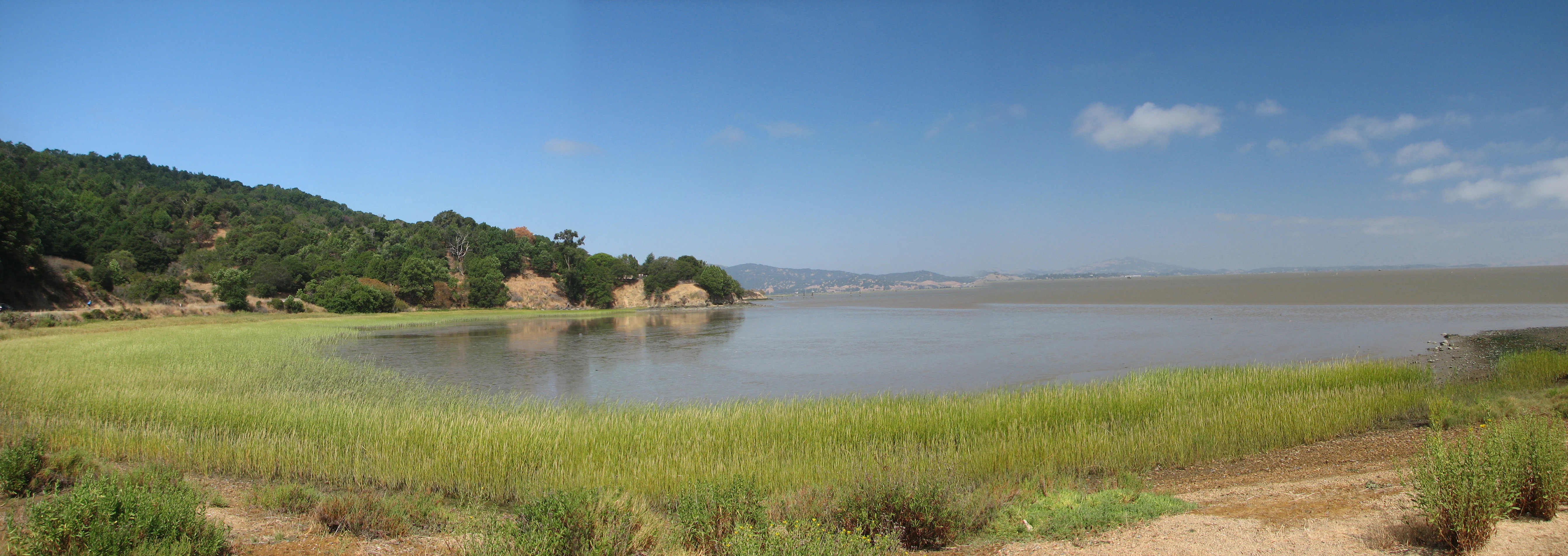 A panoramic photograph of a calm bay with grassy marshland in the foreground and a tree-covered hillside on the left under a clear blue sky.