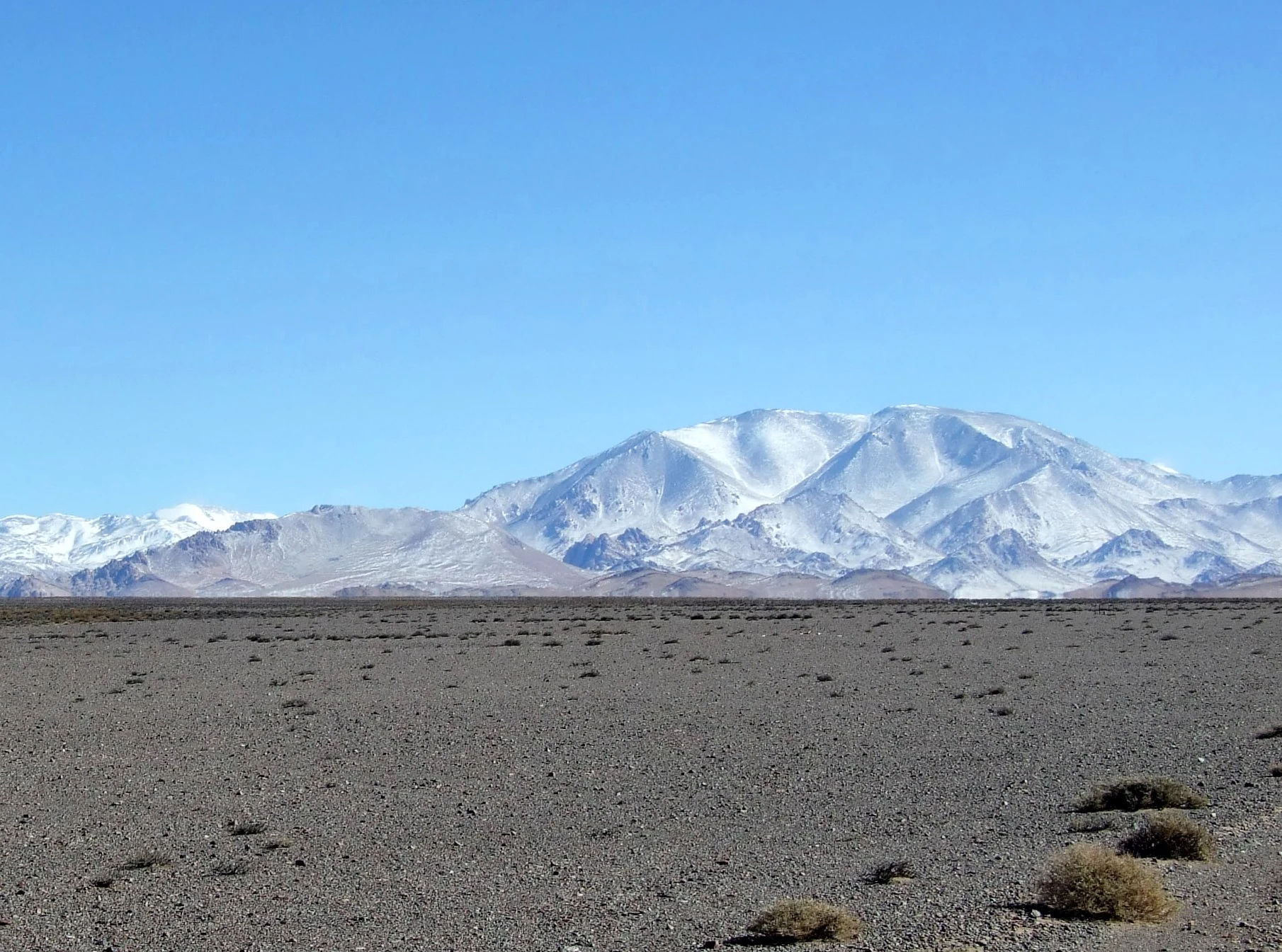 Desert plain with sparse vegetation and snow-covered mountains under a clear blue sky