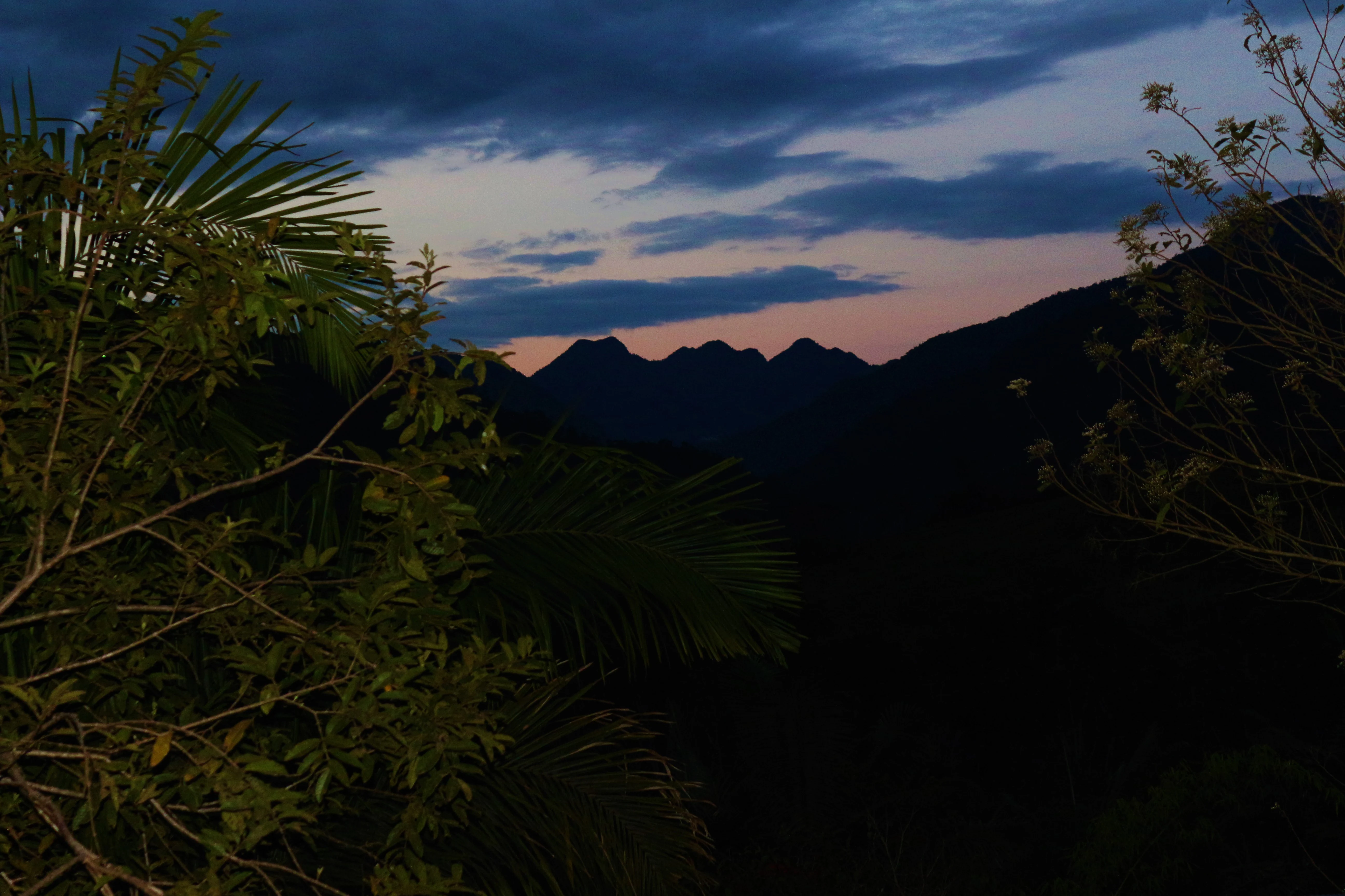 A dark, silhouetted mountain ridgeline against a twilight sky with pink and blue clouds, framed by lush foreground vegetation.
