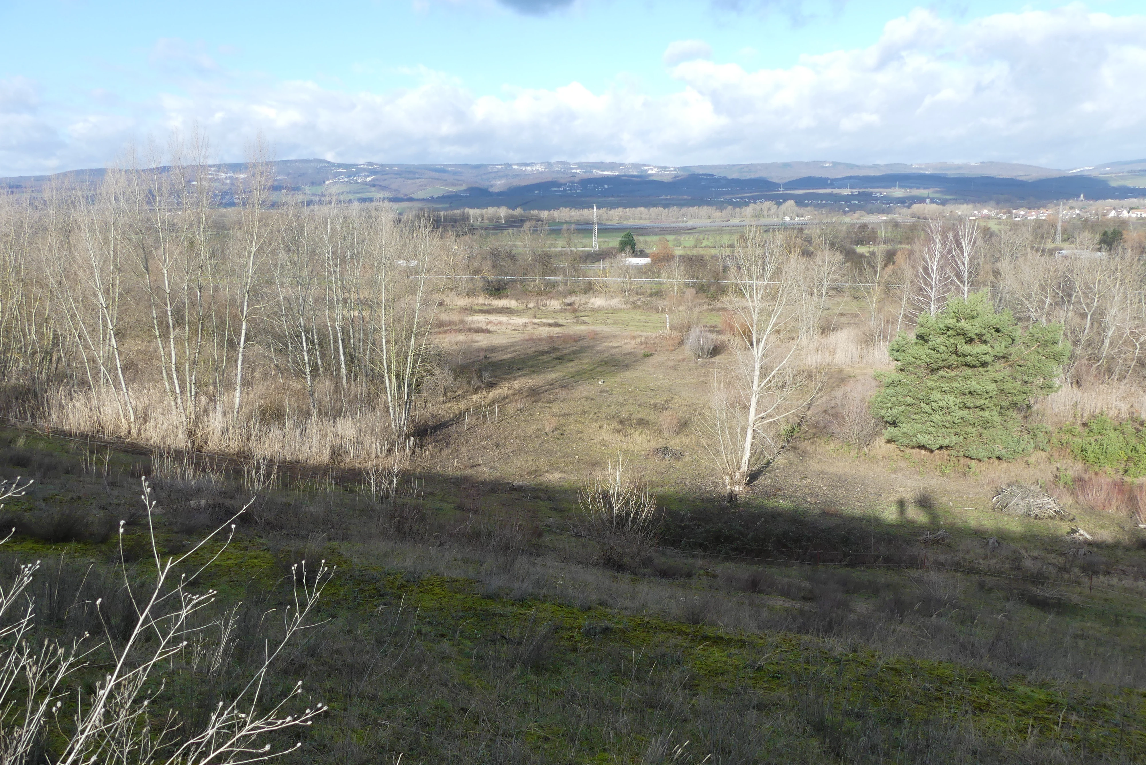 An elevated landscape view looking over an open, shrub-covered area in Sandgrube am Weilersberg, Germany, with a mix of deciduous trees, grasses, and hills in the background during winter.