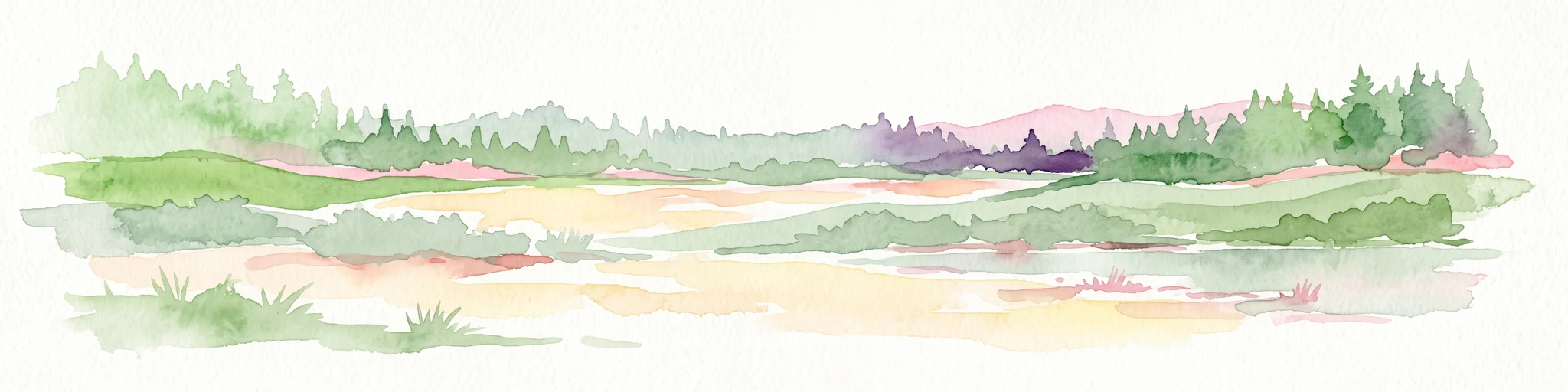 A horizontal watercolor illustration of a natural landscape showing sandy ground, patches of green vegetation, a small pond, and a distant treeline against a pale sky.