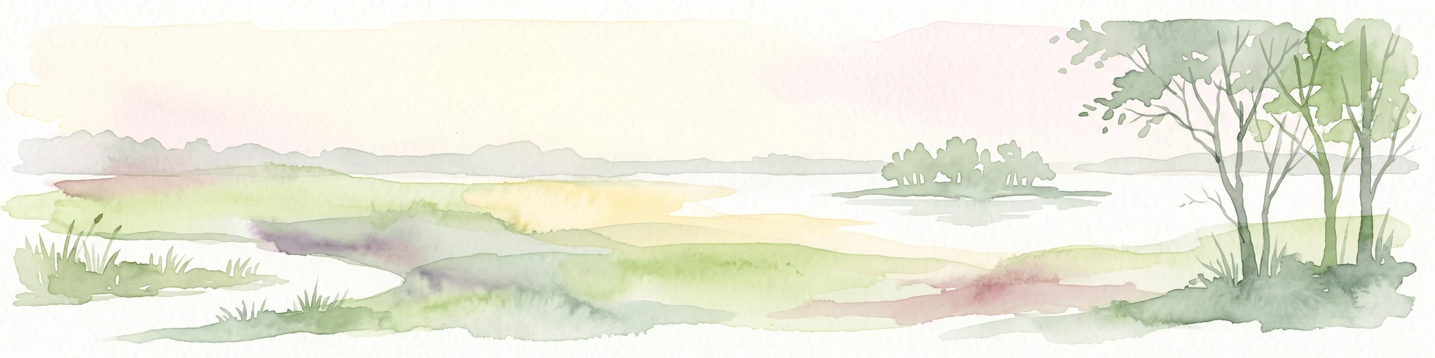 A watercolor illustration of a calm, marshy wetland landscape with soft green and earthy tones, featuring distant vegetation, a small island, and foreground trees.