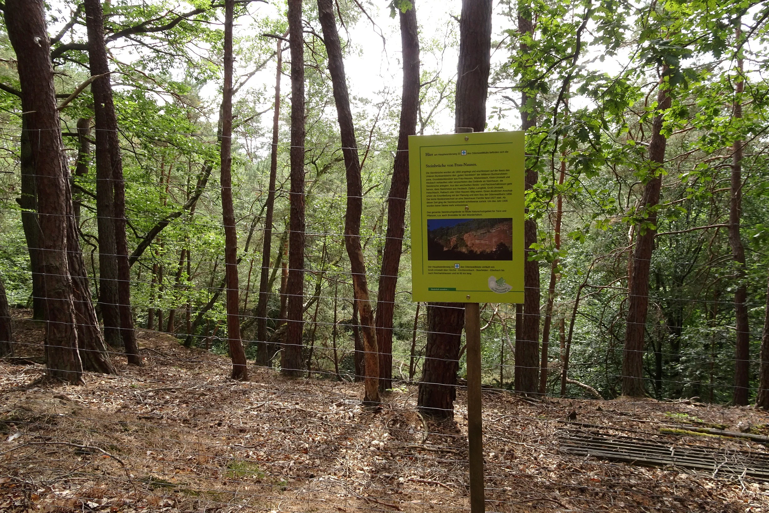 A yellow informational sign mounted on a wooden post stands in a forest, positioned in front of a wire fence with pine trees in the background.