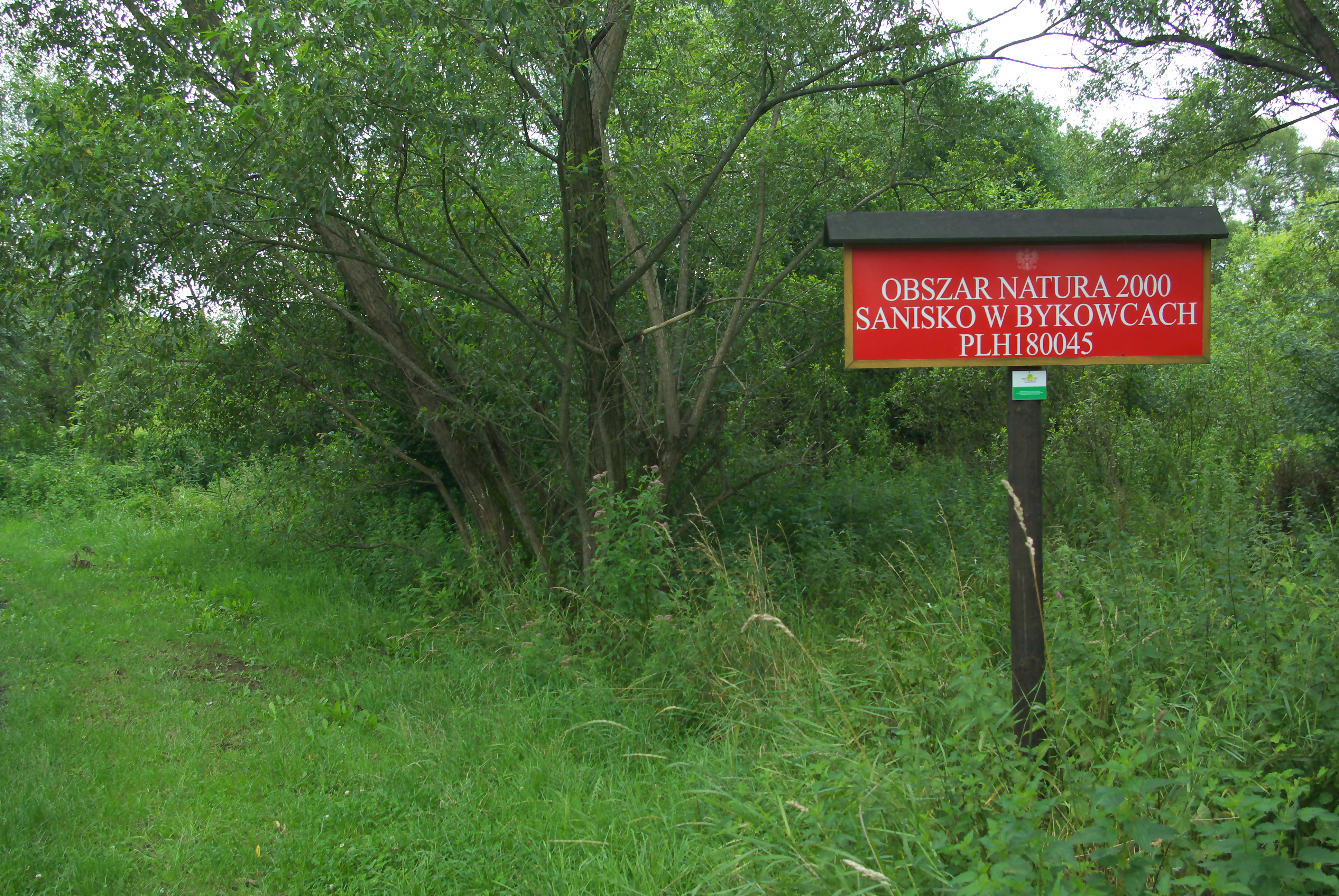 A red information sign on a wooden post surrounded by lush green foliage reads OBSZAR NATURA 2000, SANISKO W BYKOWCACH, PLH180045.