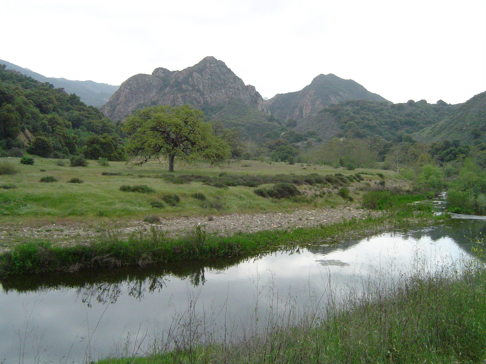 A landscape photograph showing a calm creek reflecting the sky in the foreground, a grassy field with a large oak tree in the midground, and rugged rocky mountain peaks in the background.