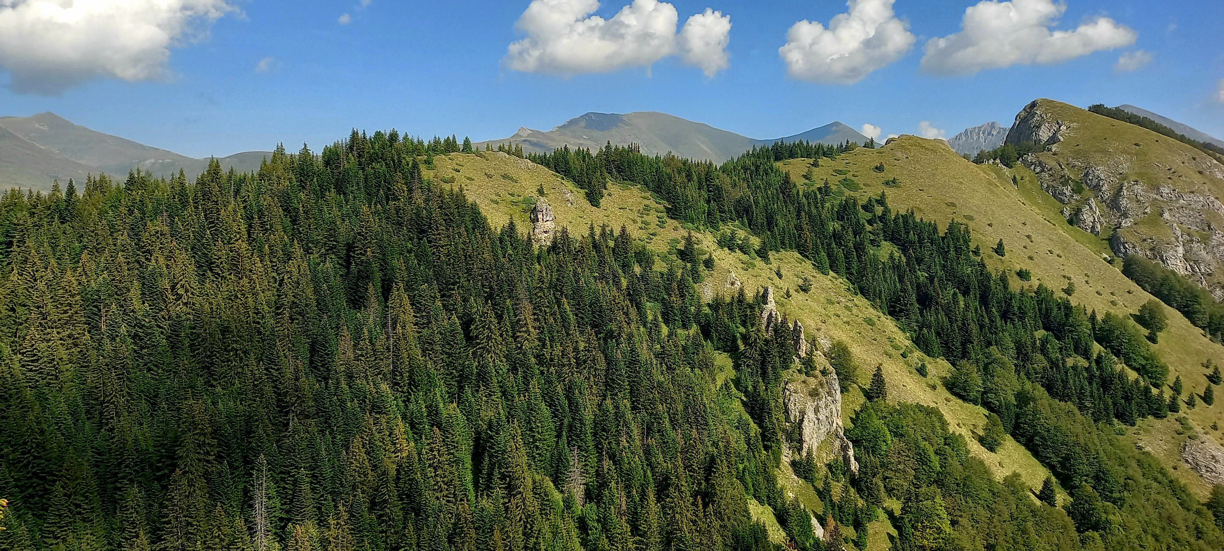 Panoramic view of forested hills and mountain peaks under a partly cloudy sky