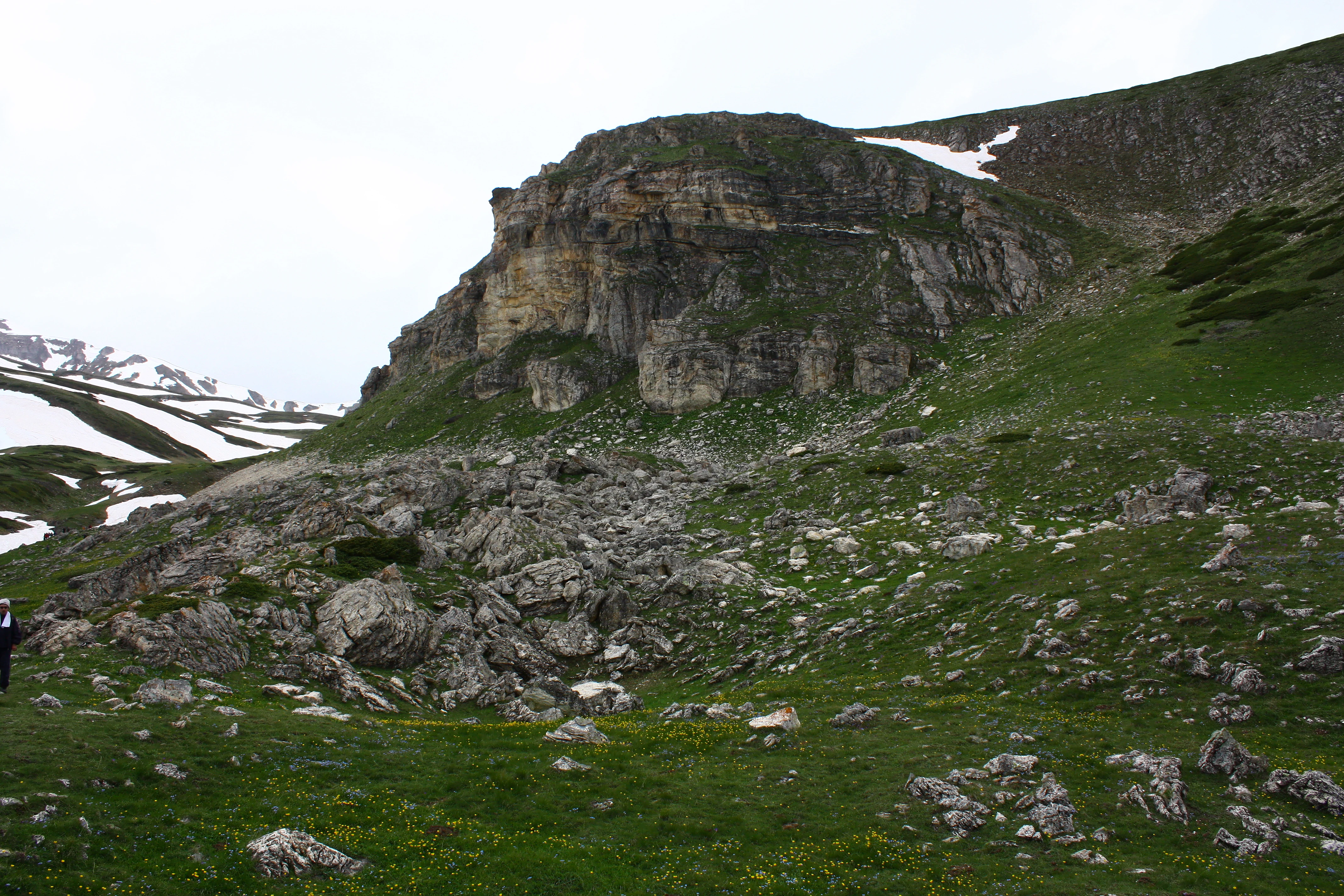 Grassy terrain with scattered rocks and a rocky cliff face under an overcast sky