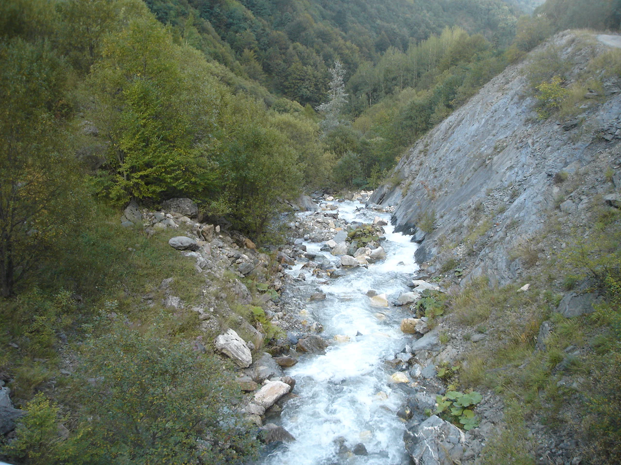 A river with flowing water surrounded by rocky terrain and dense green forest in a mountainous valley
