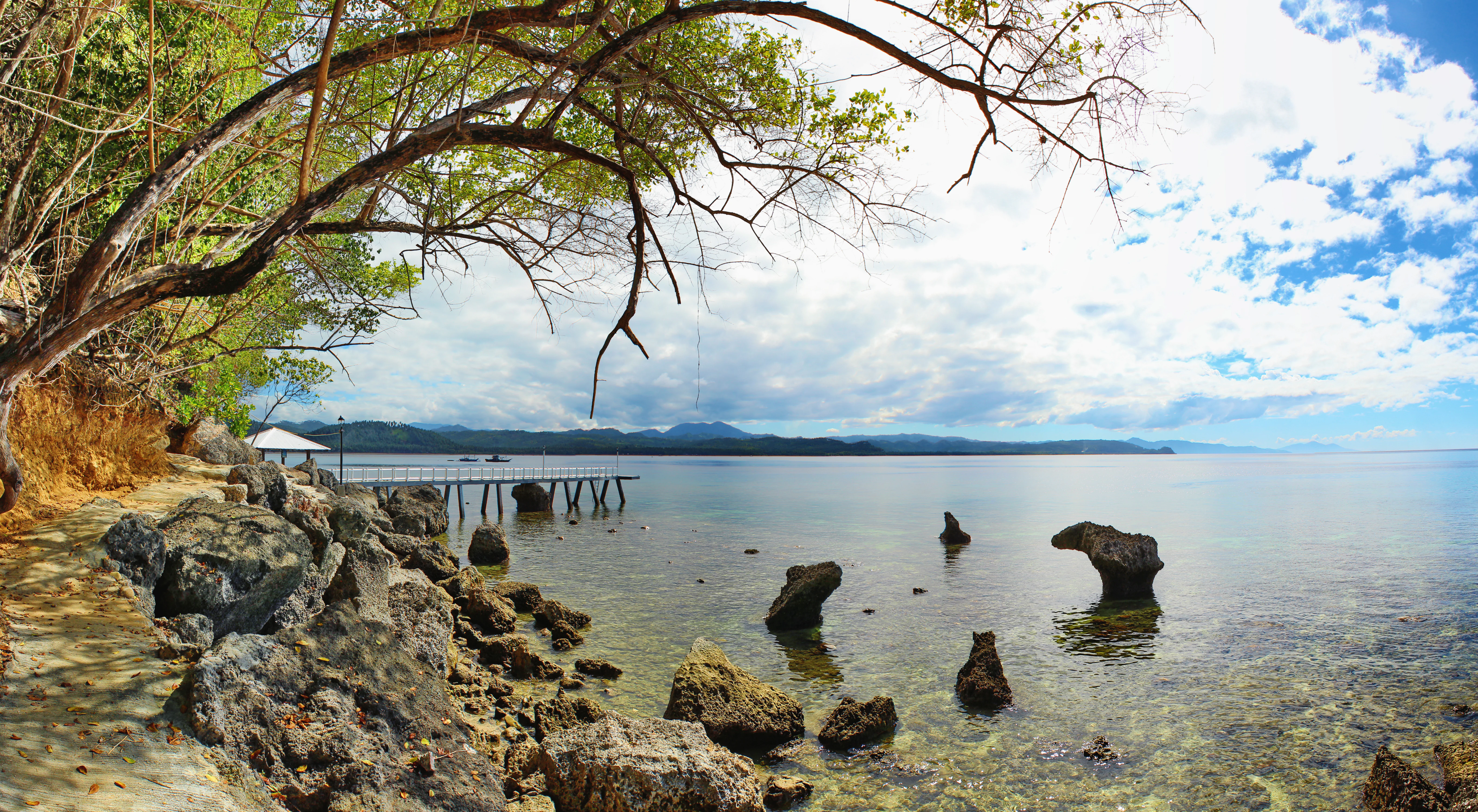 A wide shot of a rocky coastline overlooking calm bay waters under a blue sky with clouds; trees hang over the left foreground, and a small wooden pier extends into the distance.