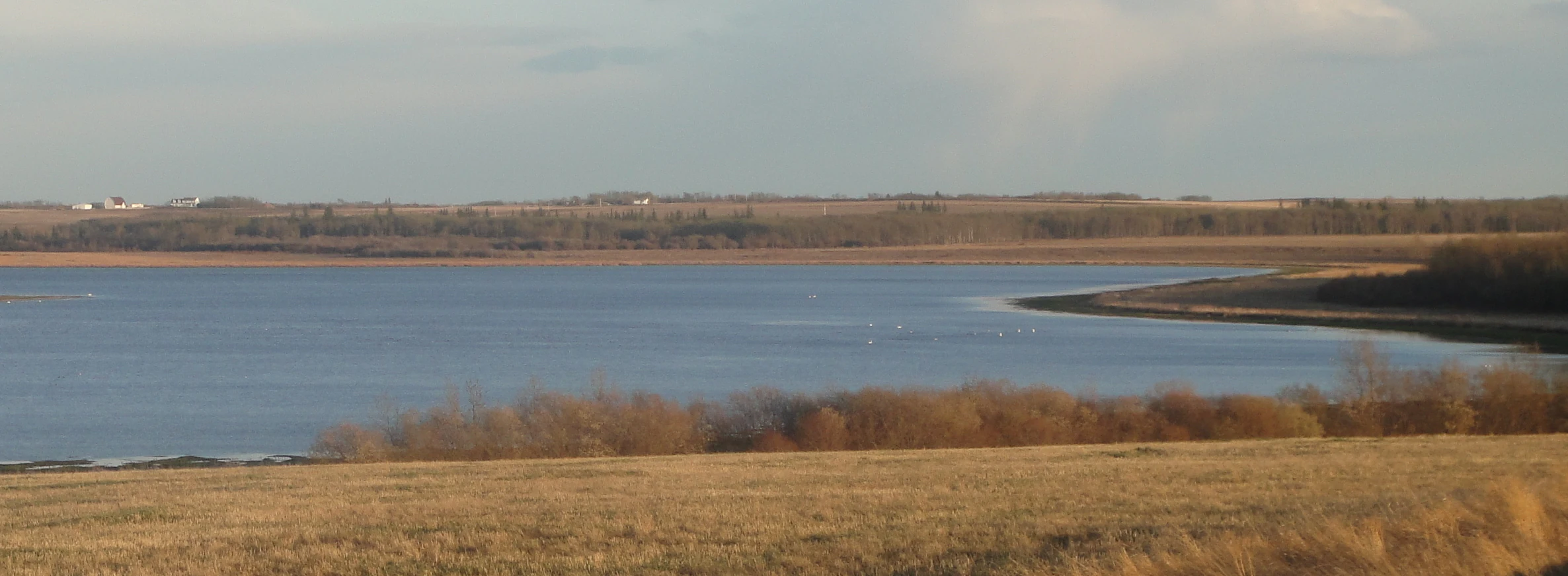 A wide view of Saskatoon Lake with a flat, golden-hued shoreline in the foreground and distant rolling fields under a cloudy sky.