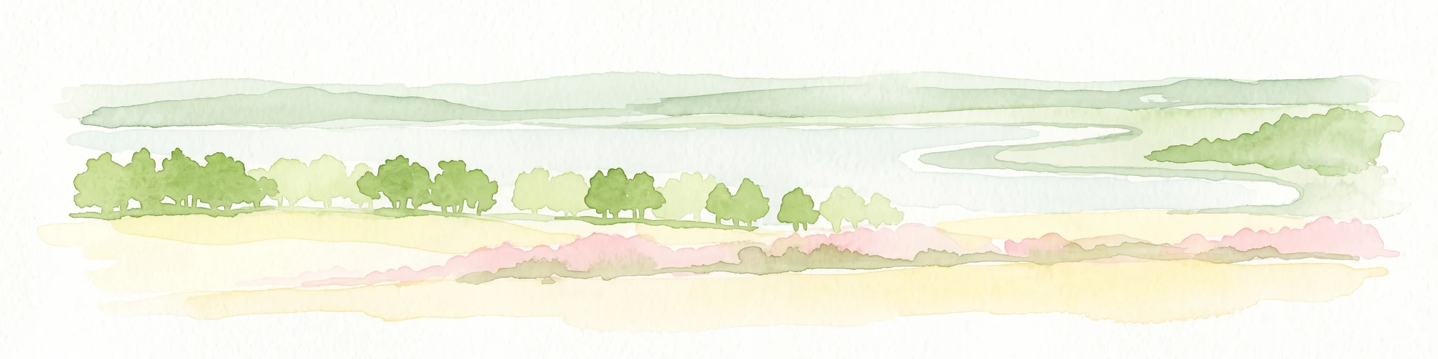 A minimalist watercolor illustration showing a light blue lake, green trees, and soft yellow ground.
