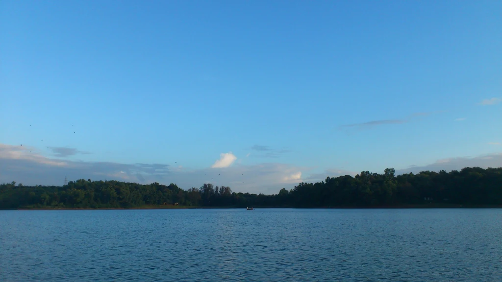 A calm, expansive freshwater lake under a clear blue sky, bordered by dense green trees on the distant horizon.