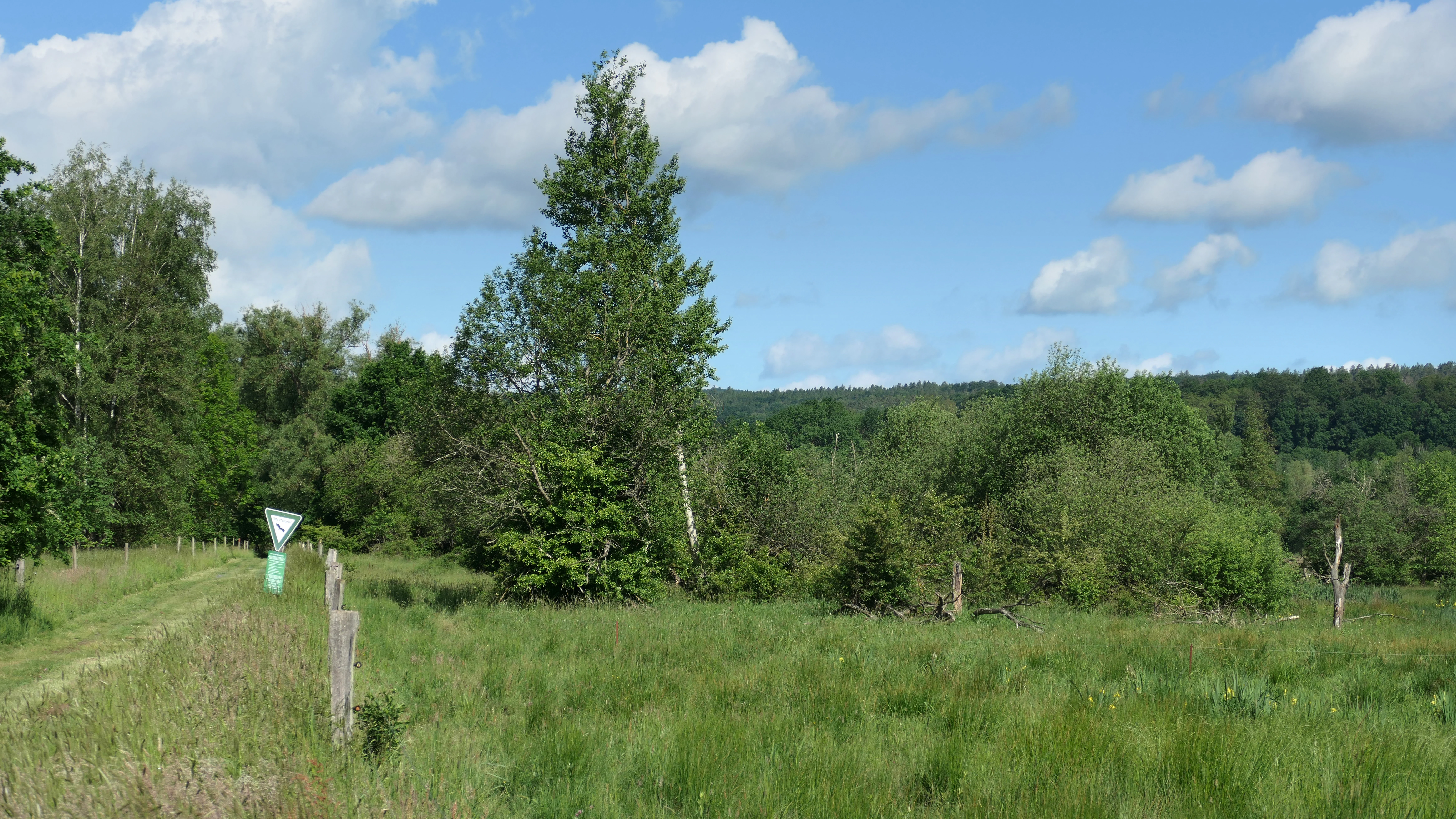 A green grassy meadow leading into a forested area with a small signpost visible on the left side under a cloudy sky.
