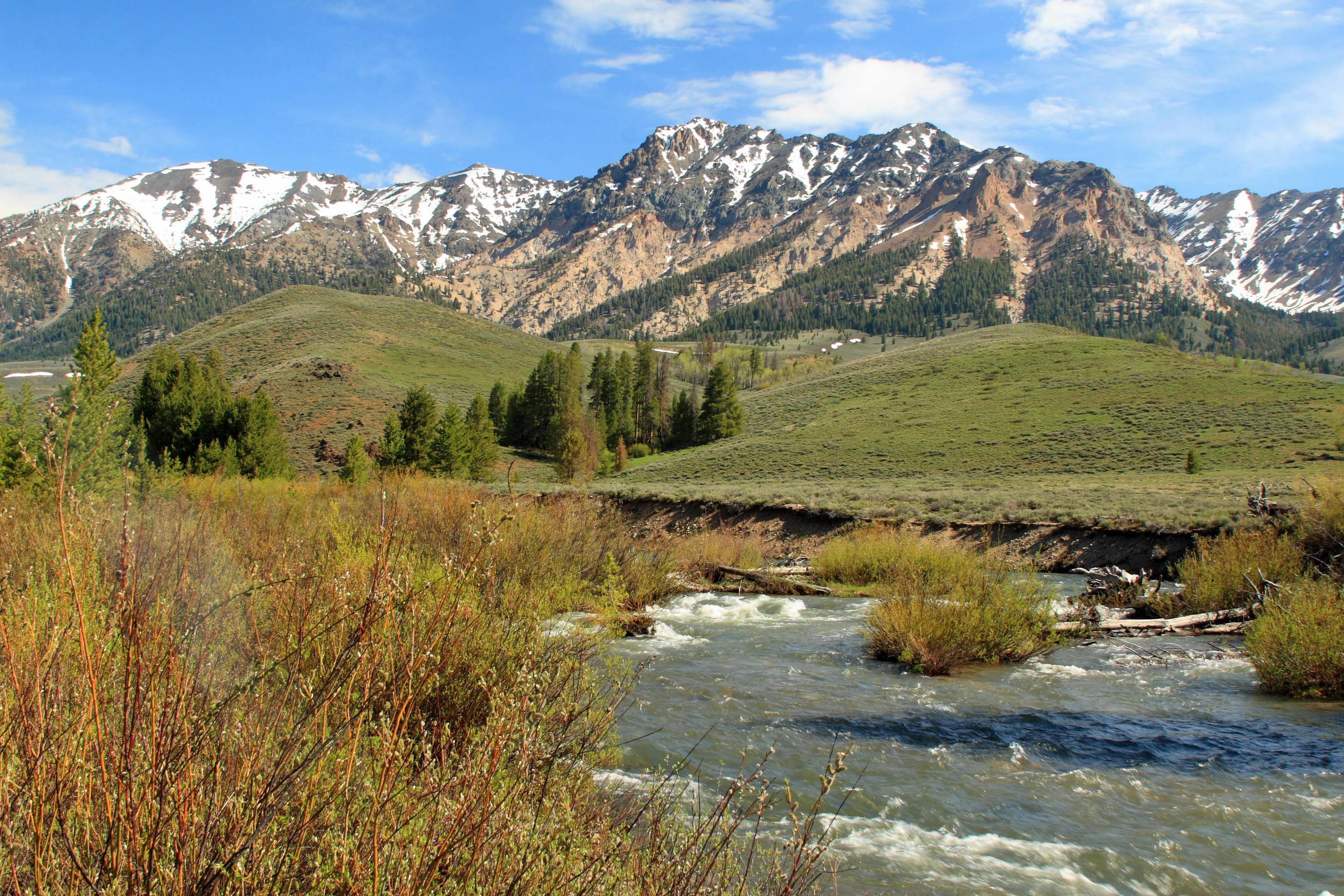 A rushing stream winds through a grassy riverbank towards a prominent, snow-capped mountain range under a clear blue sky.