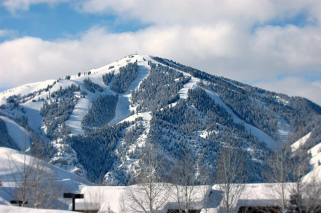 A snow covered mountain with visible ski runs cleared through the pine forest leading to the summit.