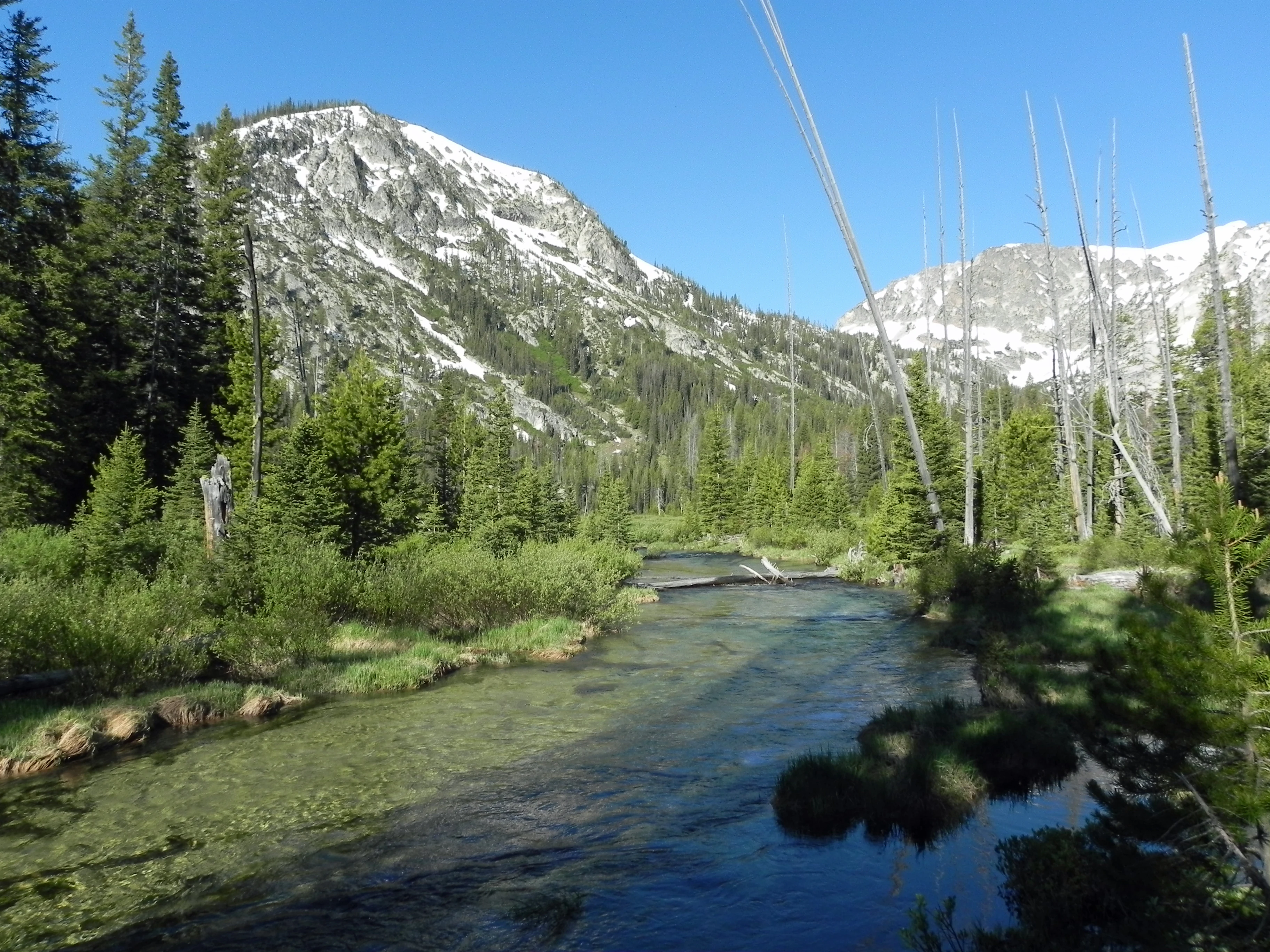 A clear, shallow creek winds through a lush green valley toward snow capped mountains under a clear blue sky.