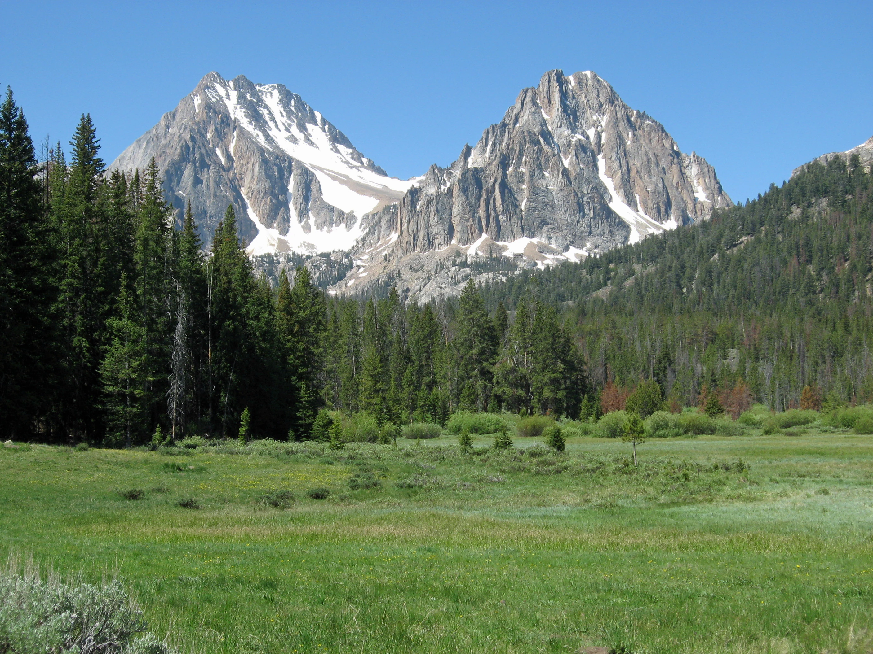 A wide view of two rugged, snow-dusted granite mountain peaks looming over a green subalpine meadow and a dense evergreen forest under a clear blue sky.