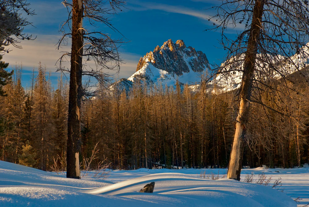 A snowy winter landscape in Sawtooth National Forest features rugged, snow-capped mountains illuminated by golden sunrise light behind a dense forest of thin, dark trees and deep snow drifts in the foreground.