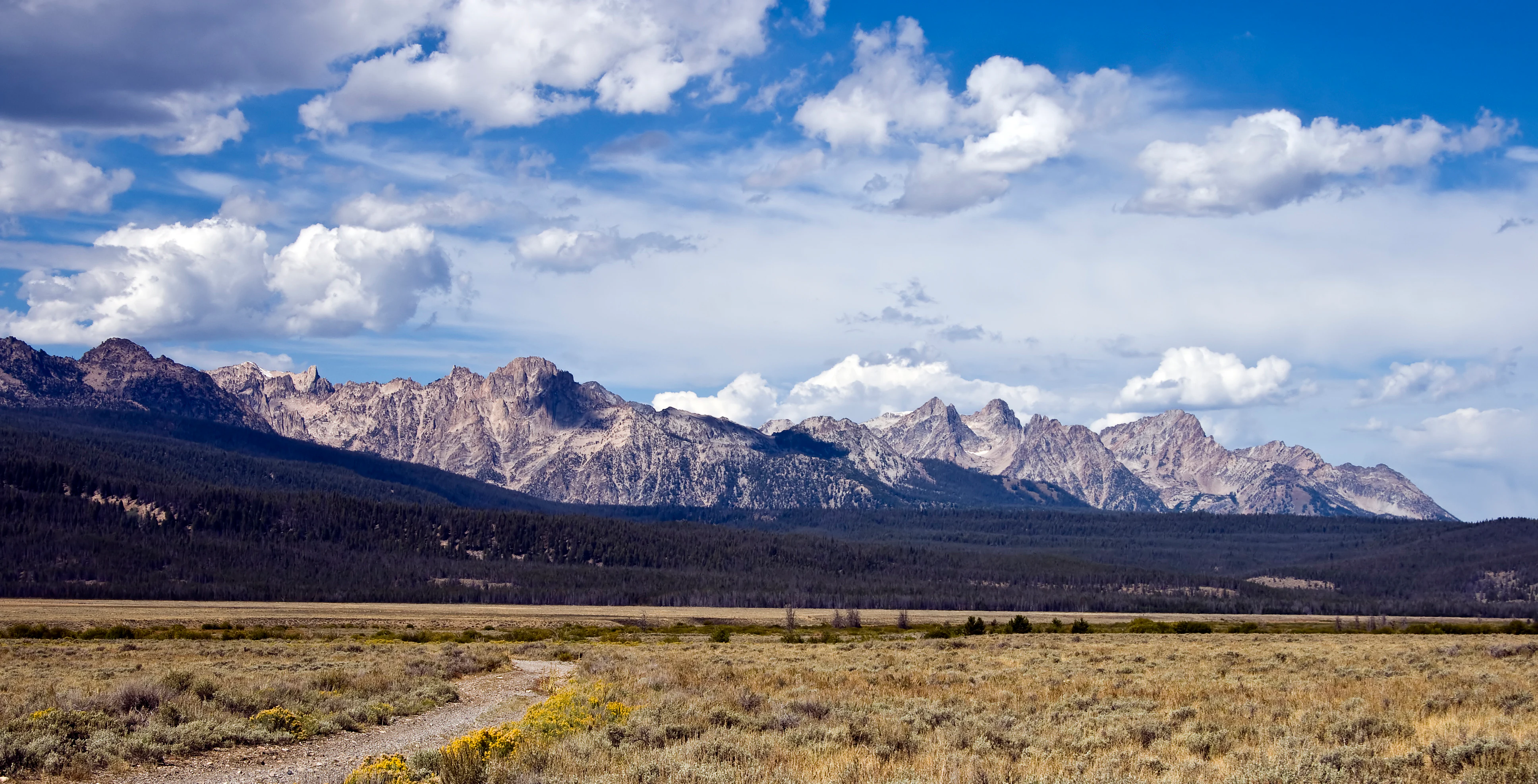A wide landscape view of the Sawtooth Range mountains under a blue sky with scattered clouds, overlooking a dry, grassy valley and forest in the foreground.