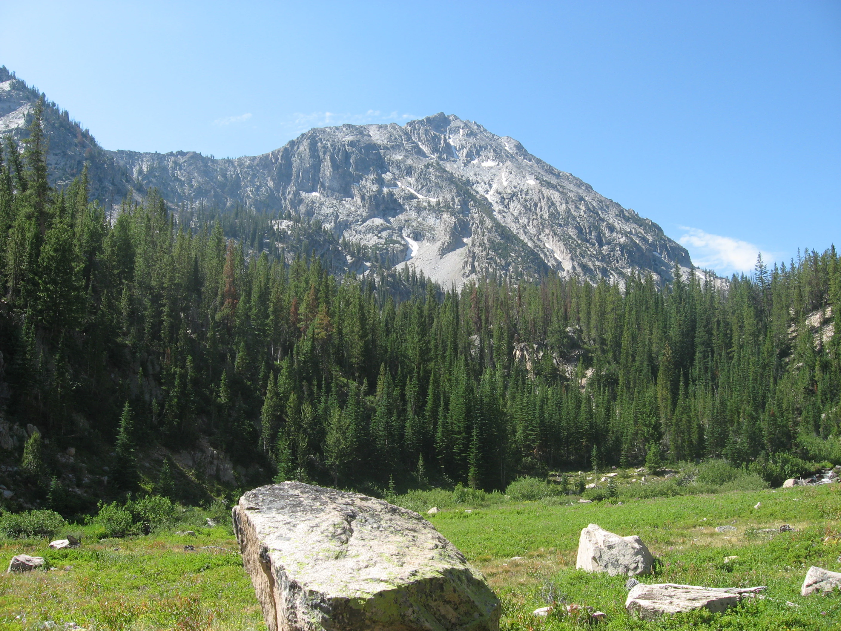 A large, rocky mountain peak rises behind a dense coniferous forest and a grassy alpine meadow with scattered granite boulders.