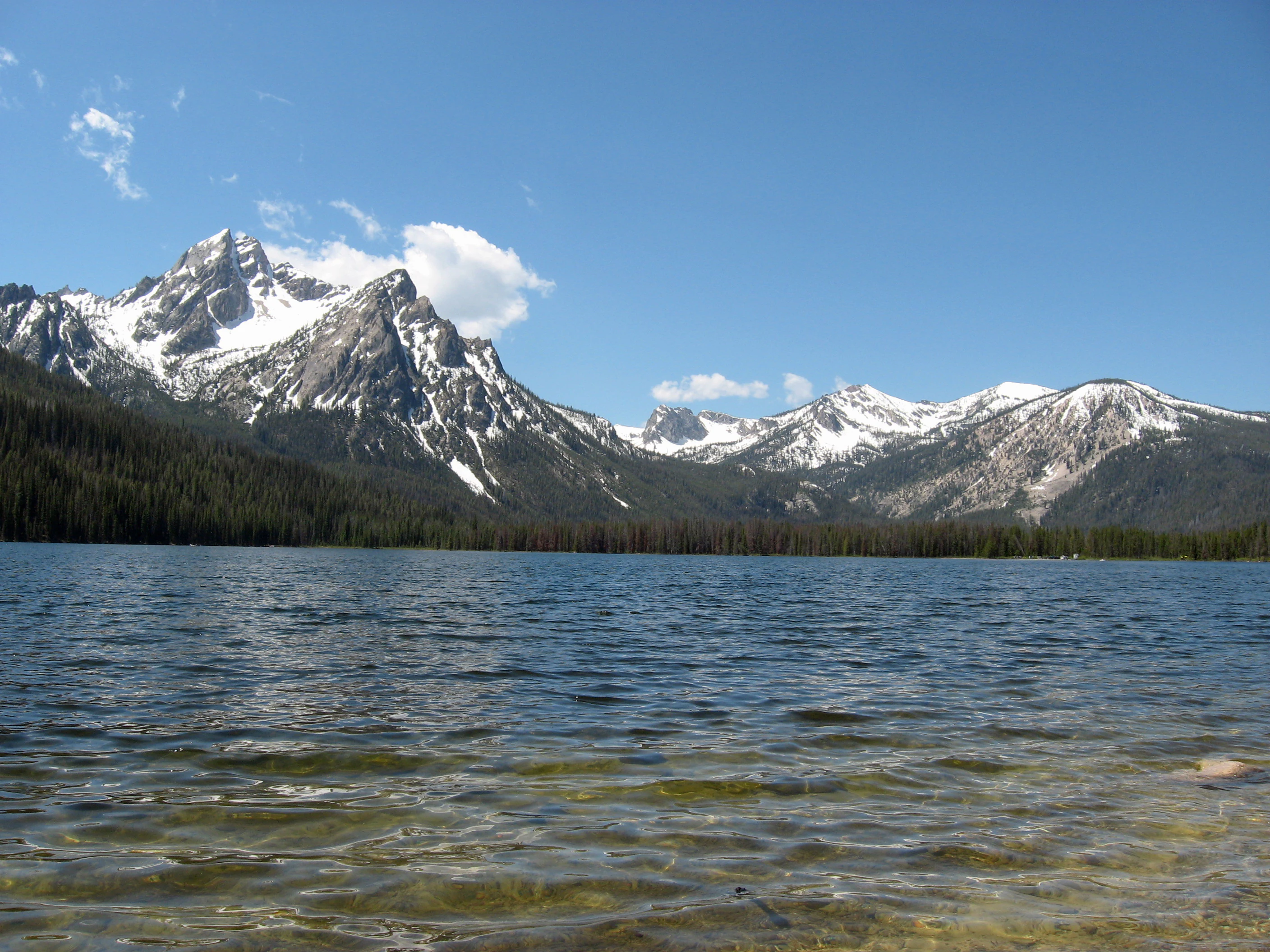A wide view of a calm blue lake in the foreground with a dense coniferous forest and snow-capped rugged mountain peaks rising in the background under a clear sky.