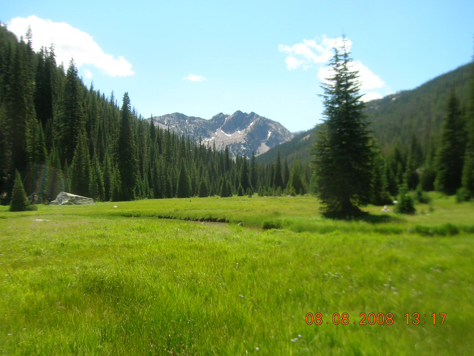 A wide shot of a lush green meadow leading to a forest and rugged, partially snow-capped mountain peaks under a clear blue sky.