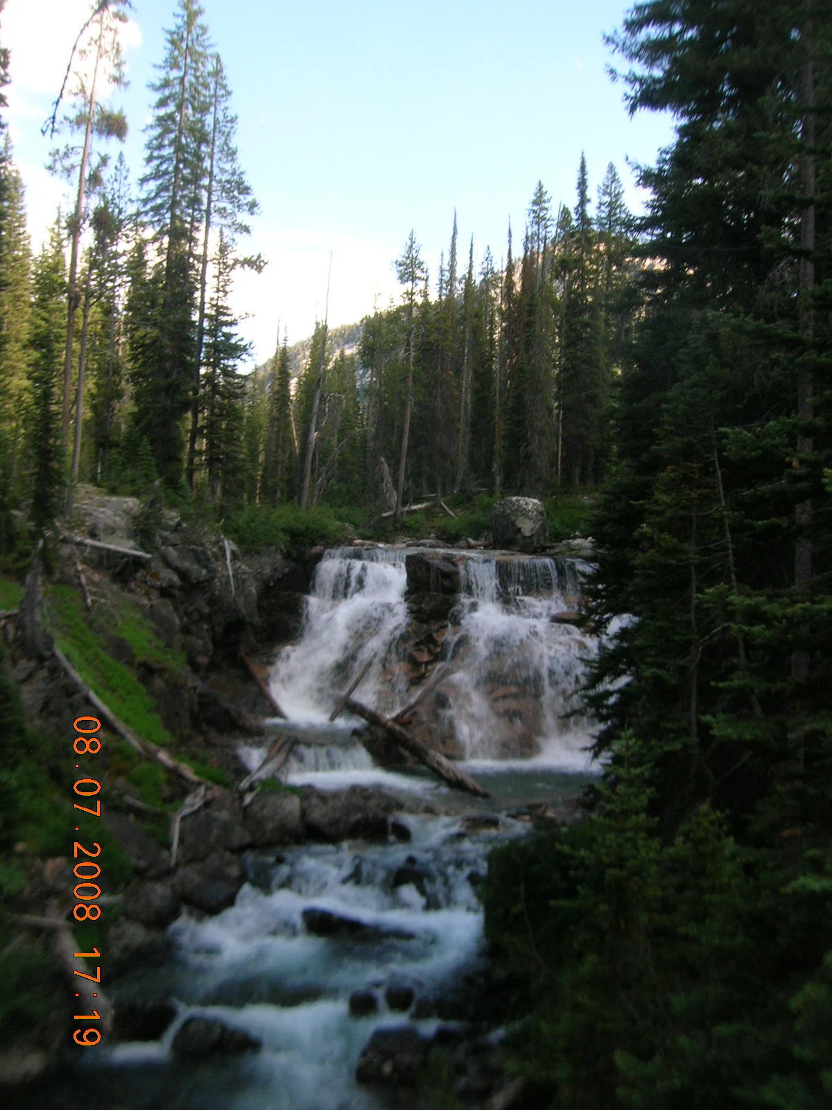 A small waterfall cascading over rocks into a stream, framed by tall evergreen trees in a forest setting.