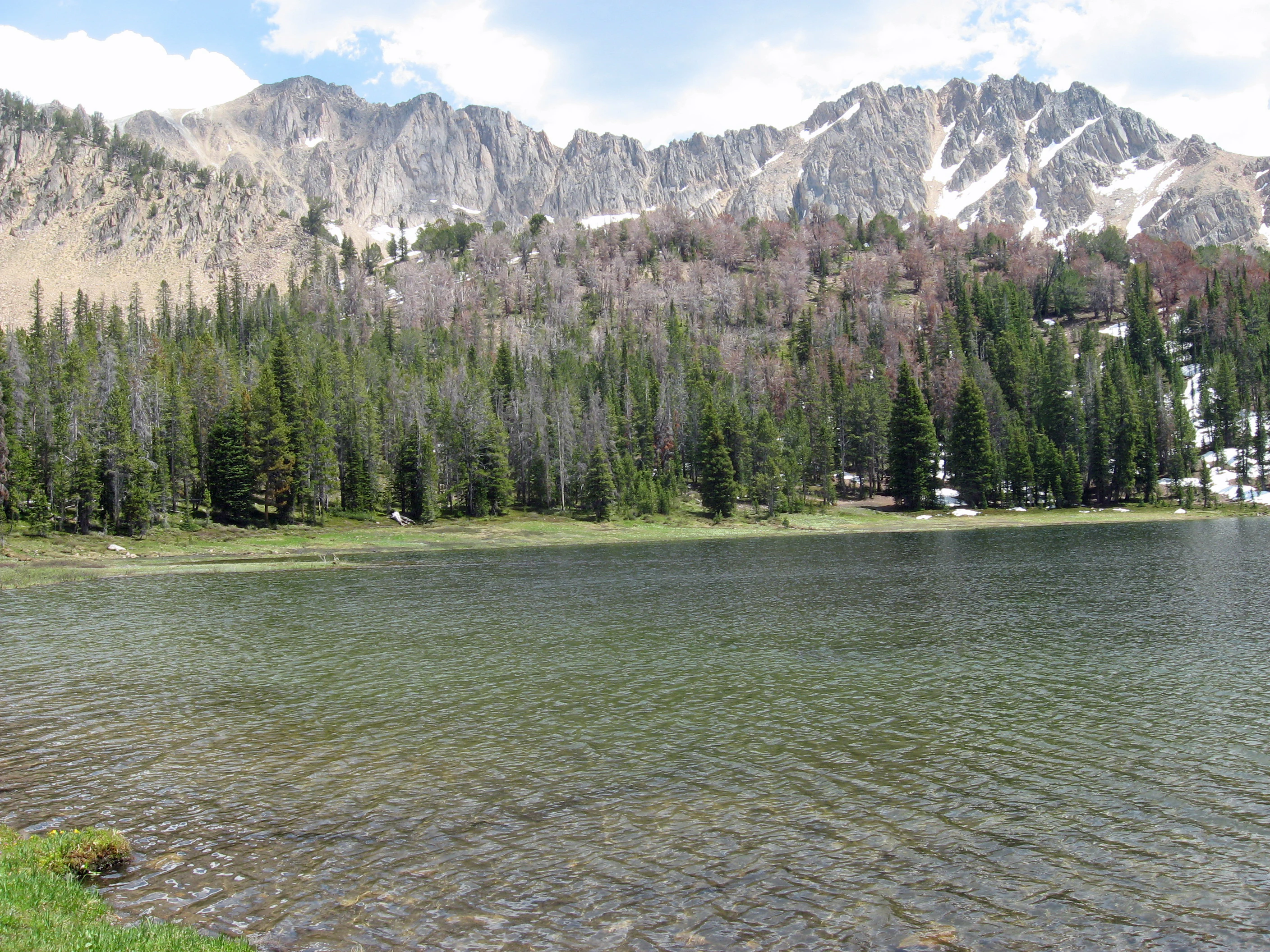 A clear alpine lake in the foreground with a dense coniferous forest and a jagged, snow-dusted mountain range in the background.