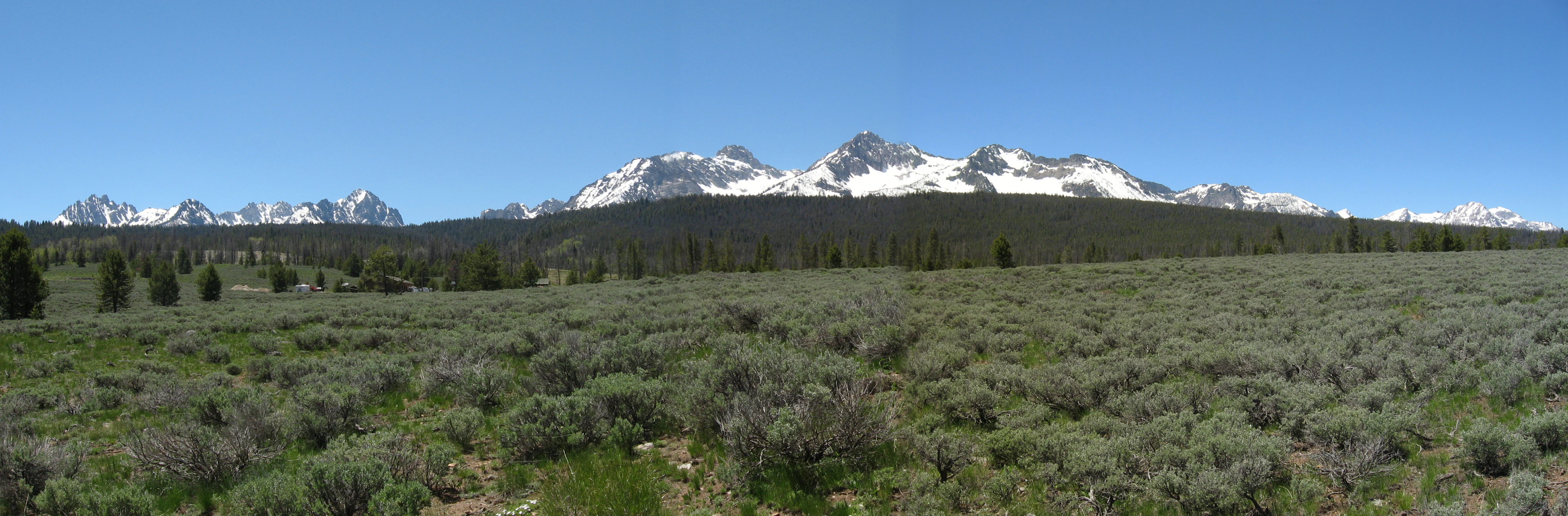 Panoramic landscape of the Sawtooth Mountain range featuring jagged snow-capped peaks in the distance above a dark forest band and sagebrush foreground under a clear blue sky.
