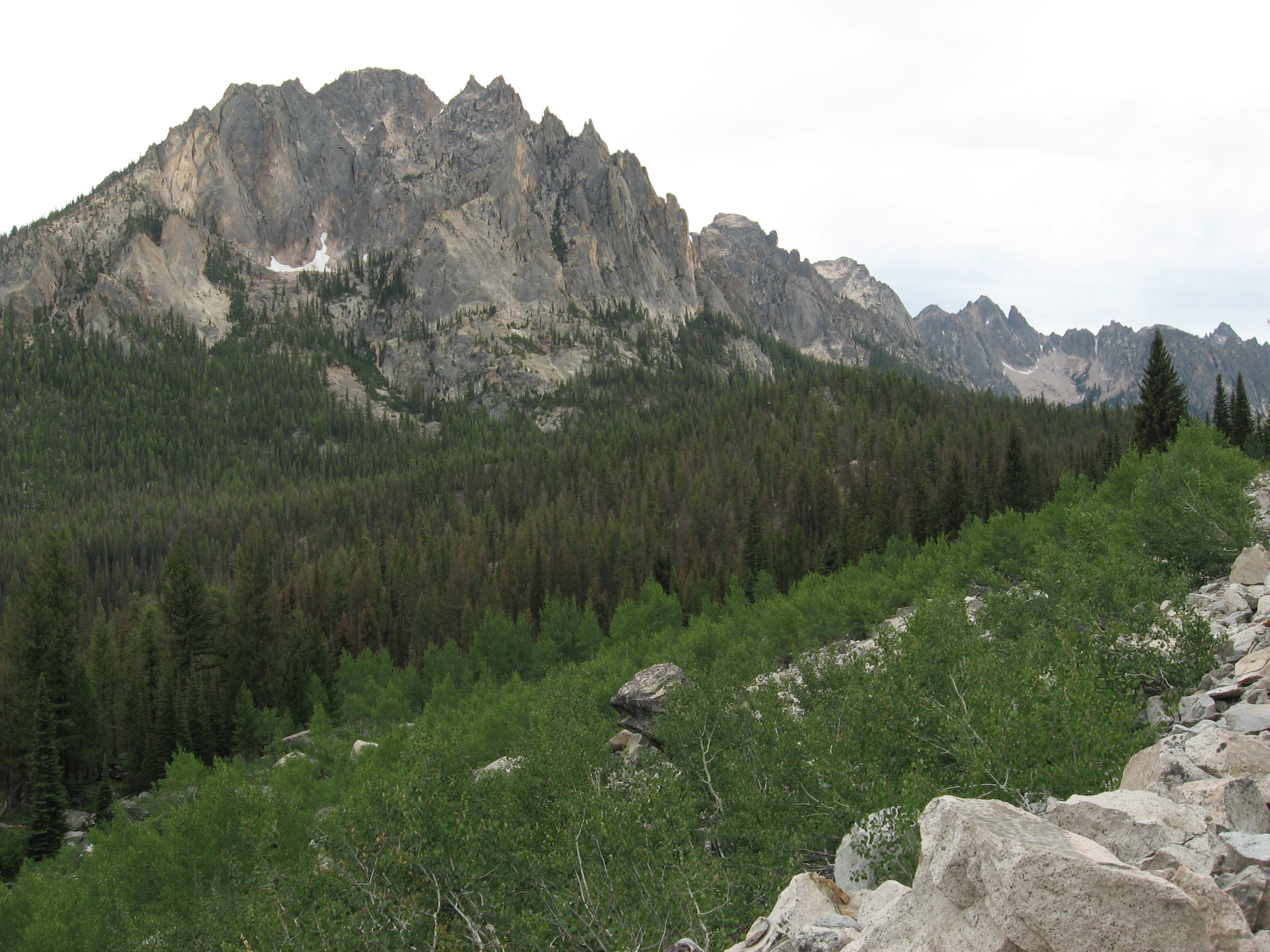 A wide landscape view of the jagged Grand Mogul mountain peak in the Sawtooth National Recreation Area, towering over a coniferous forest and a rocky foreground.