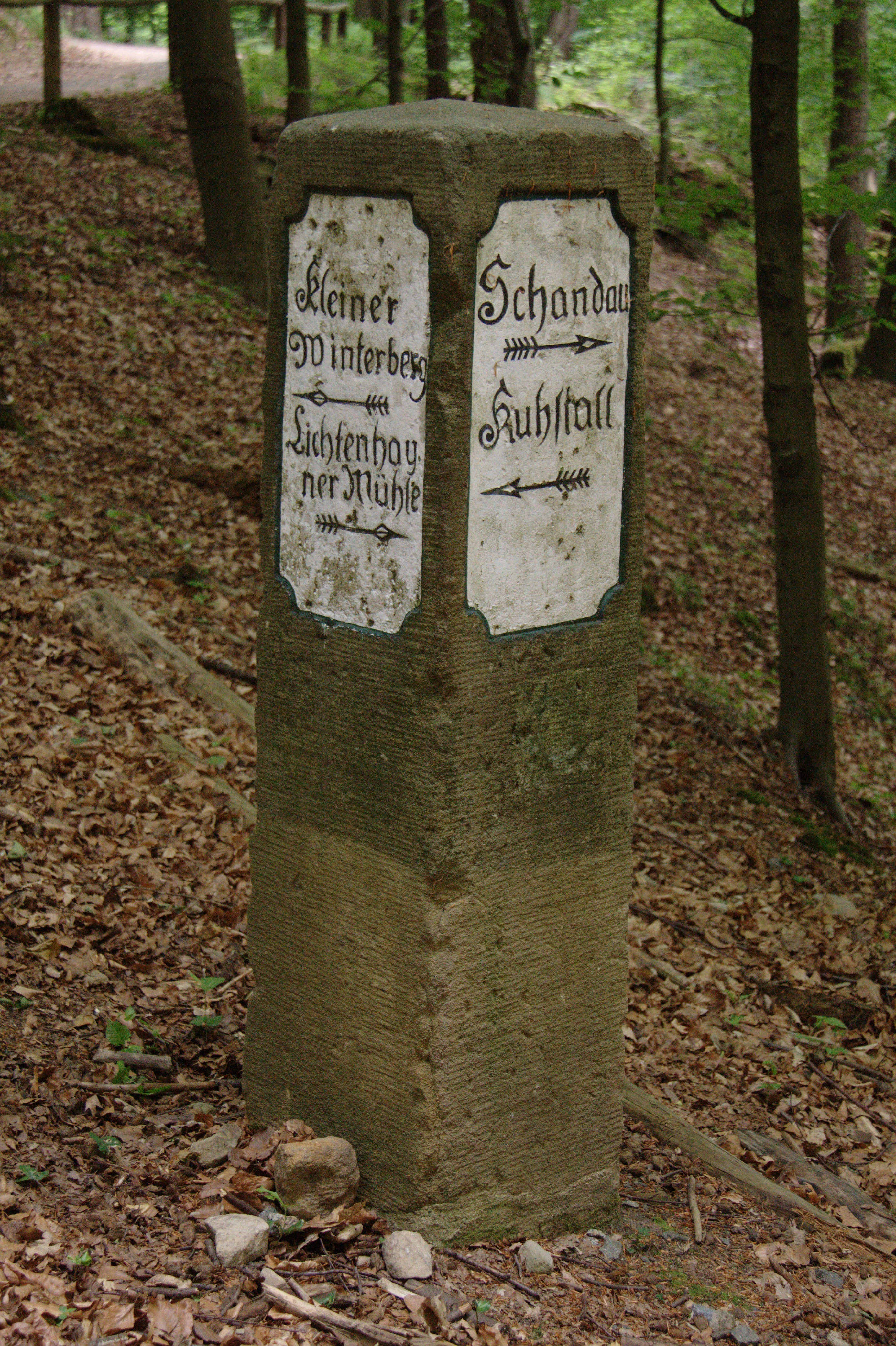 Stone signpost with two inscribed panels in a forested area, surrounded by fallen leaves and trees.